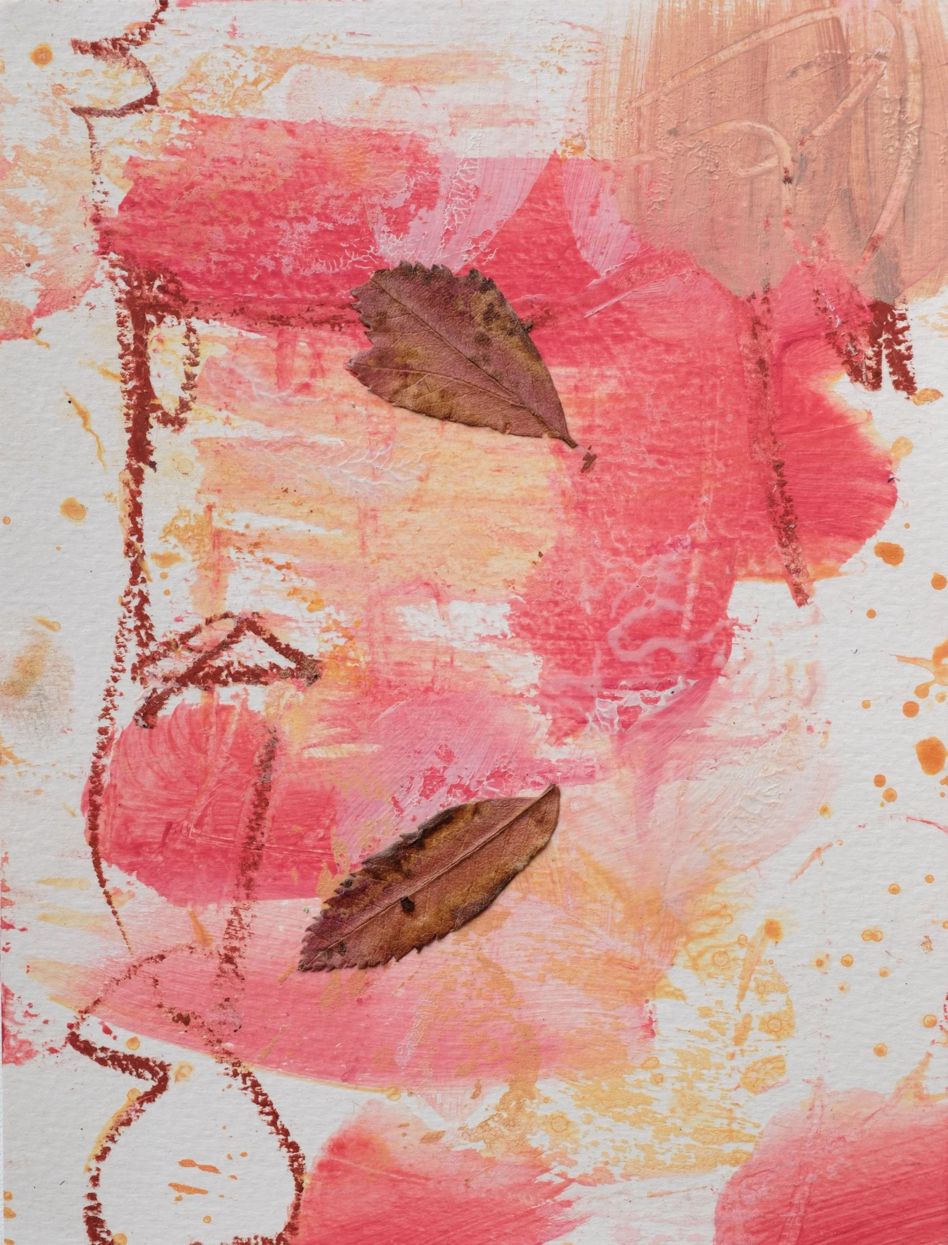 1_Acer griseum, 2024_closeup.jpg