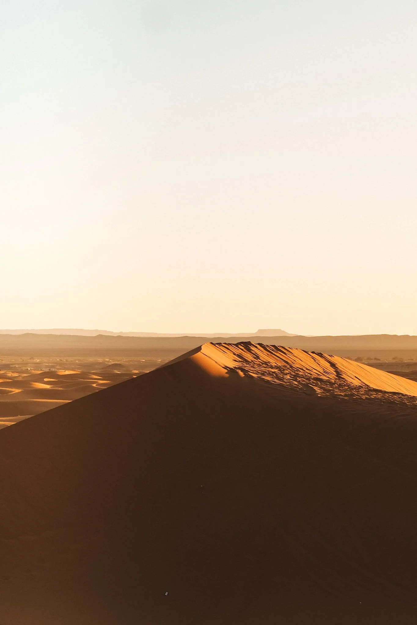 Sahara Desert Sunrise