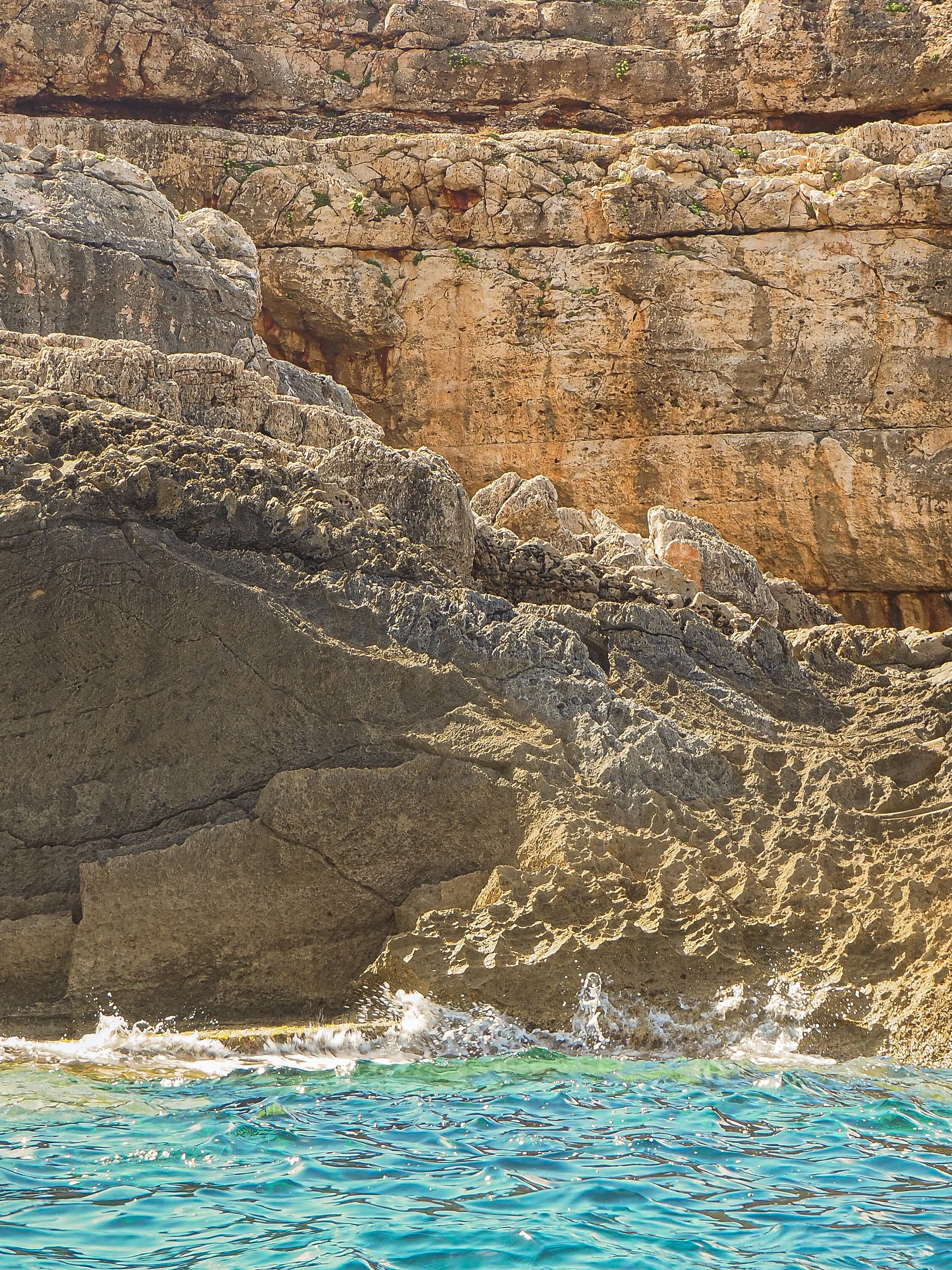 IMG_3155 (1) copy.jpg