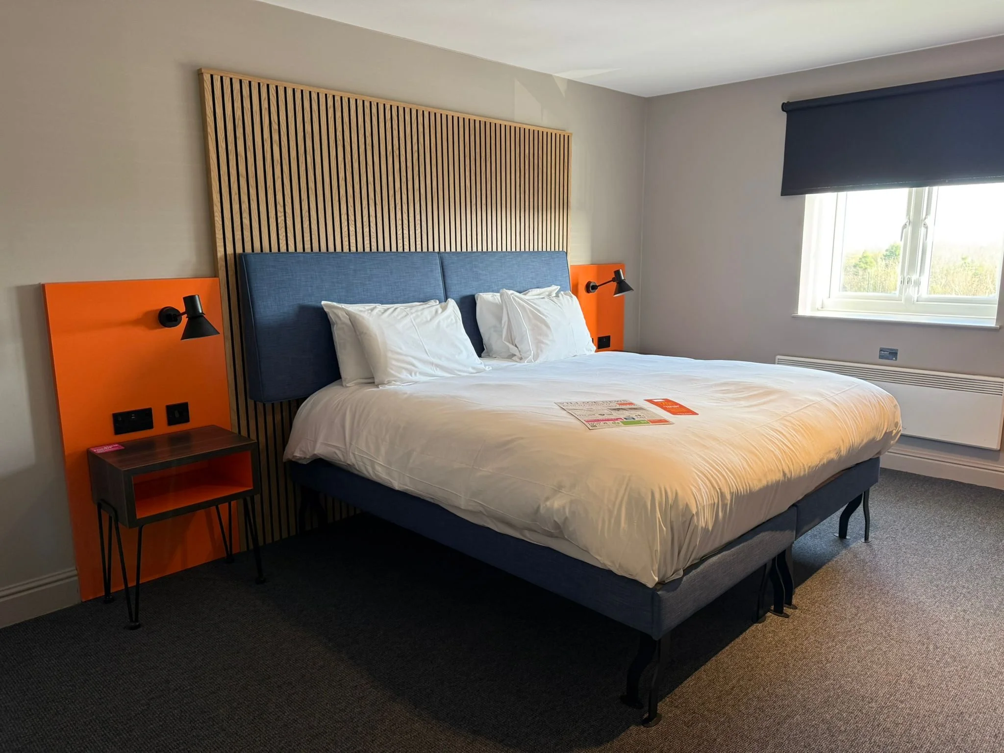 WhatsApp Image 2026-02-17 at 11.06.11 AM.jpeg