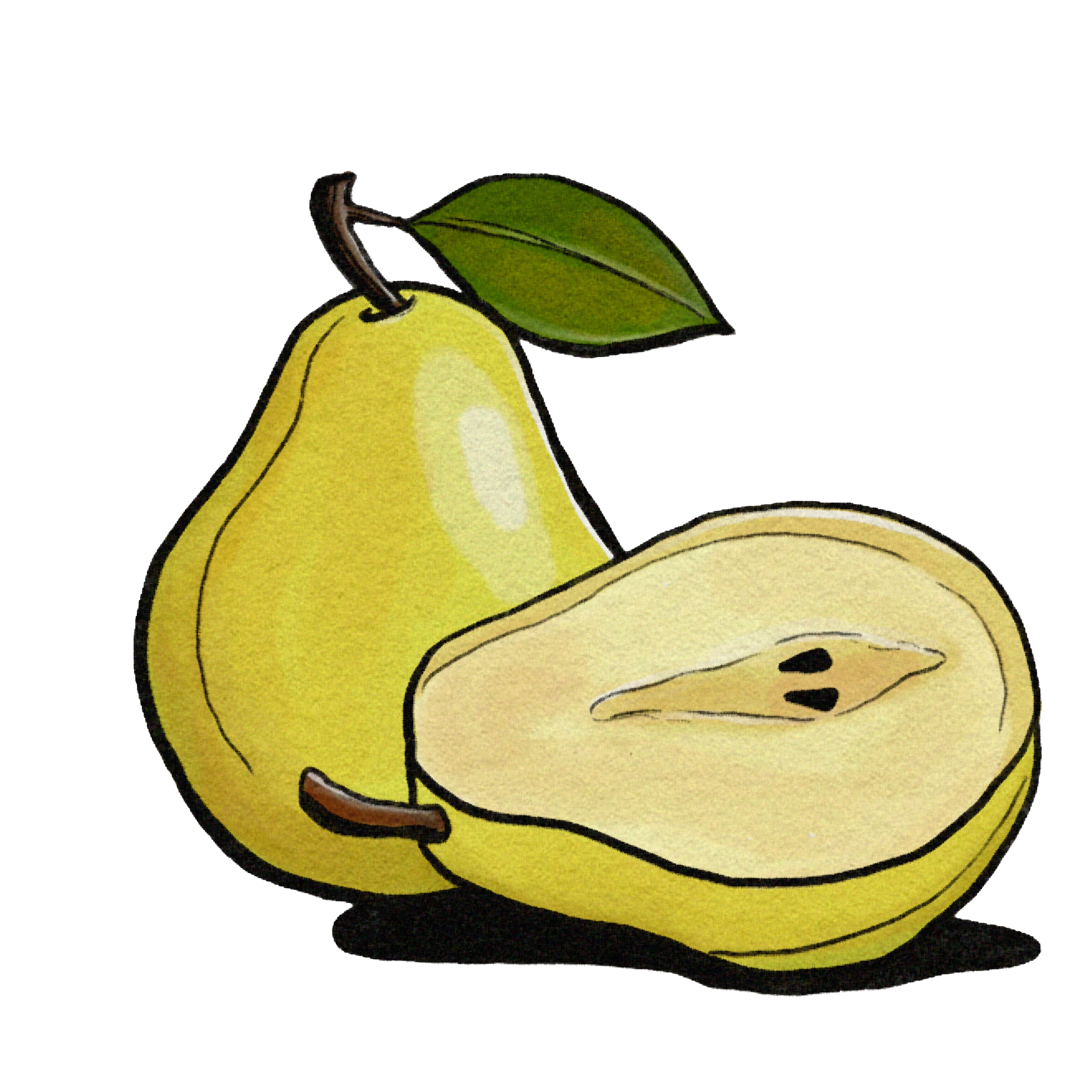 Pear.png