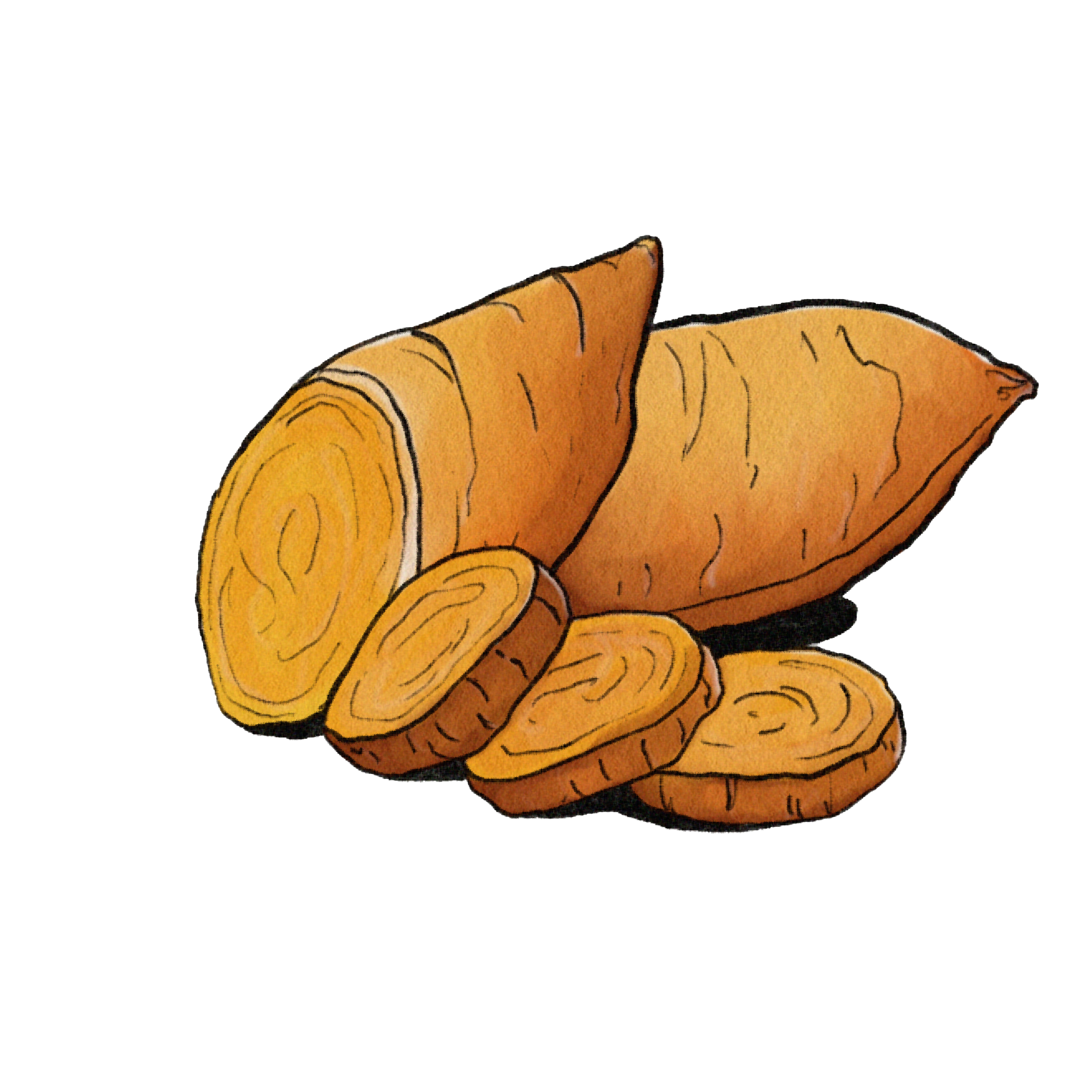 Sweet Potato.png