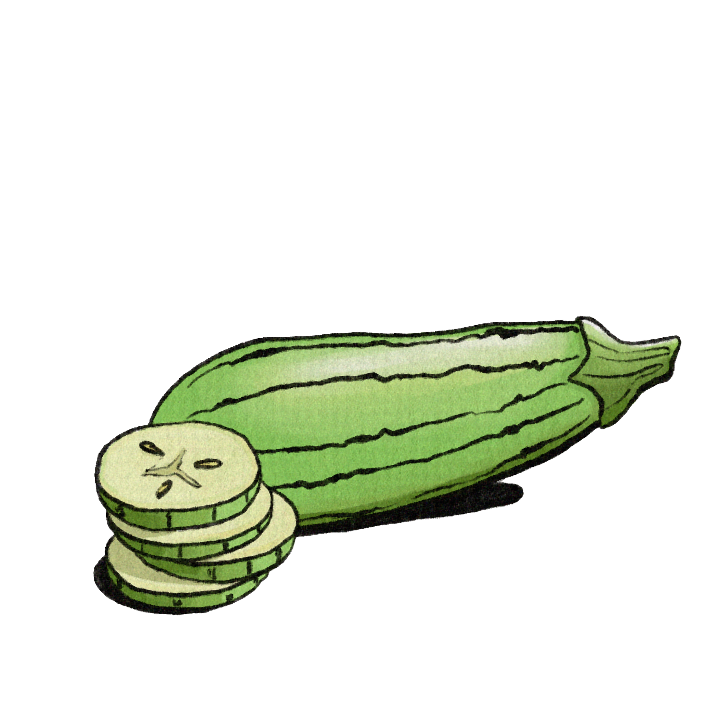 Zucchini.png