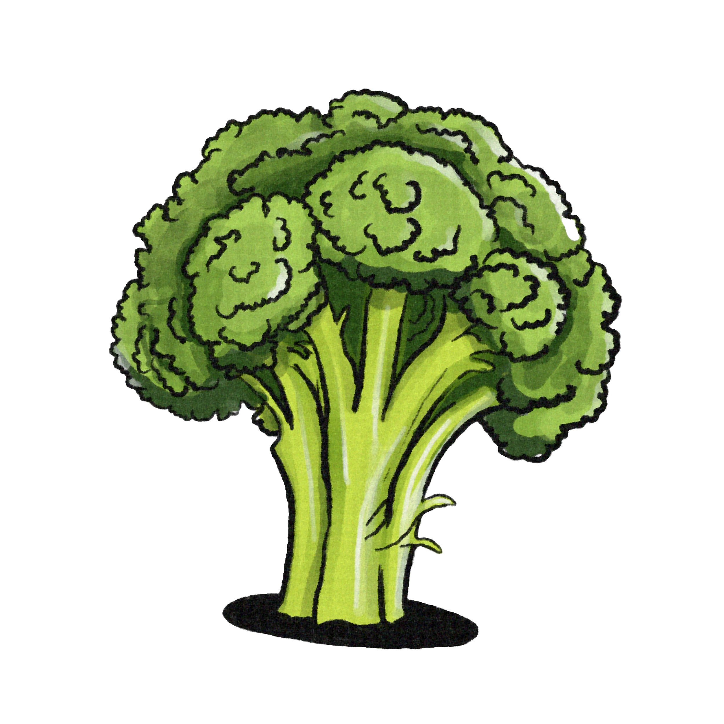 Broccoli.png