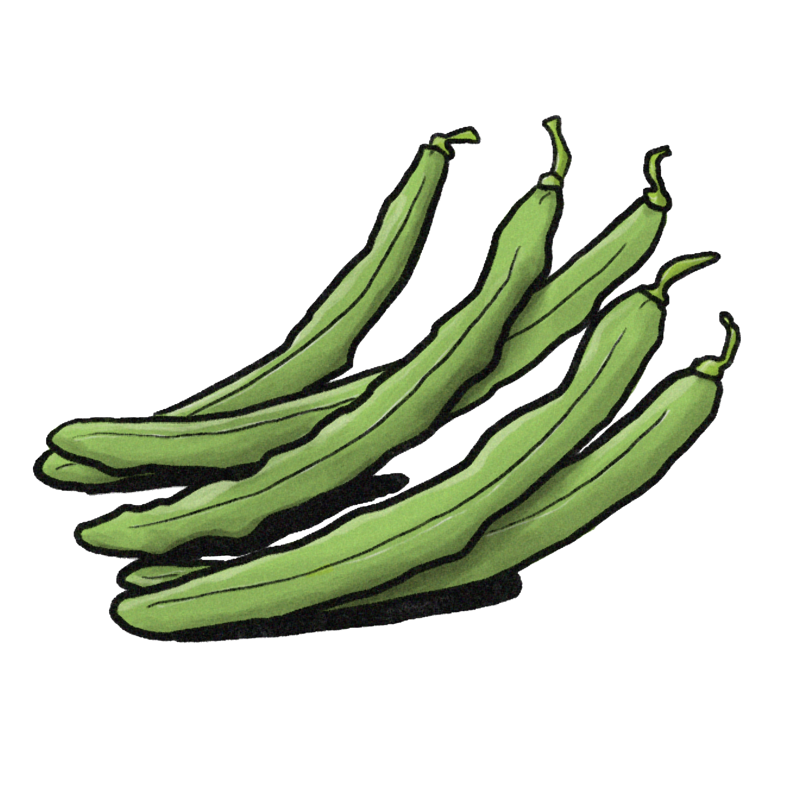 Green beans.png