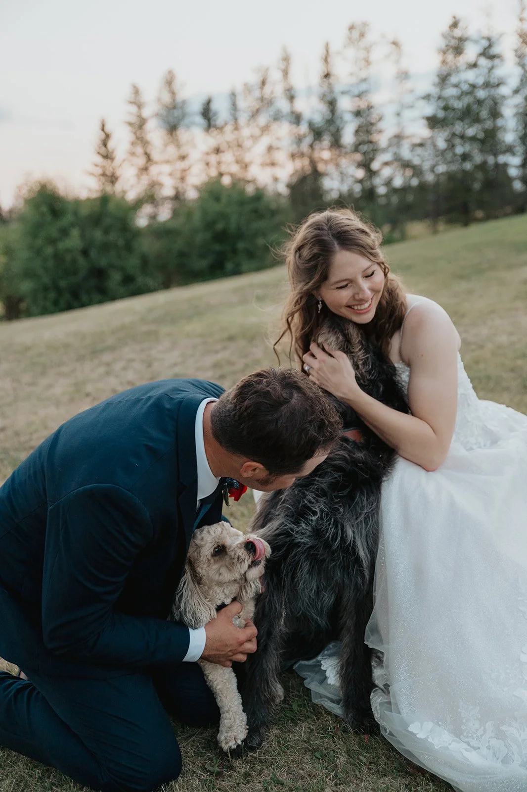 Bride and Groom outdoor sunset photo with their fur babies