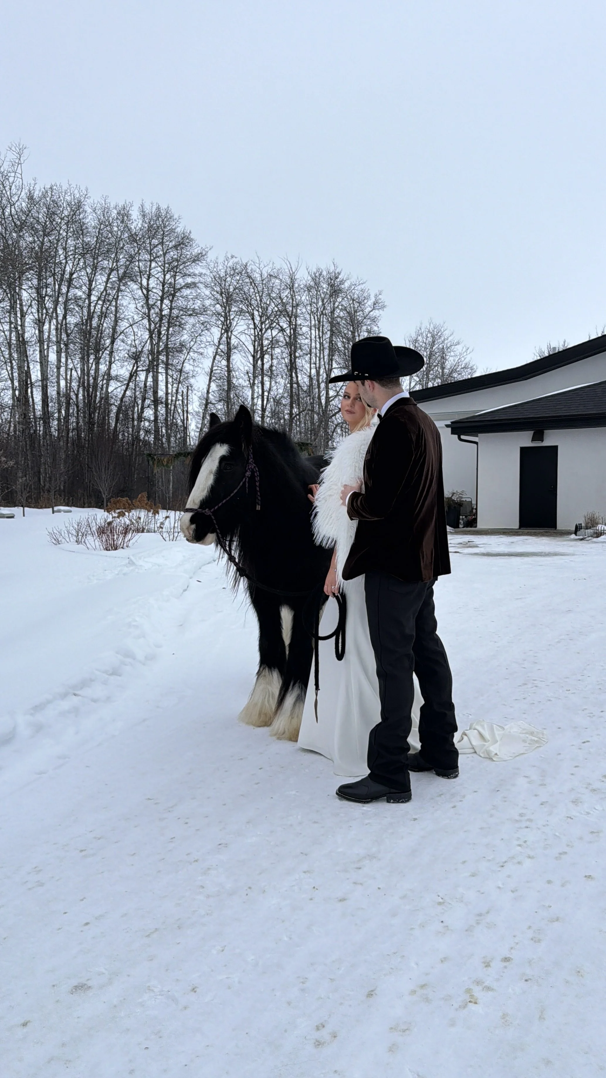 Newlywed couple posing with a gypsy horse during a winter western styled shoot at Sparrow Lane Events in Alberta.