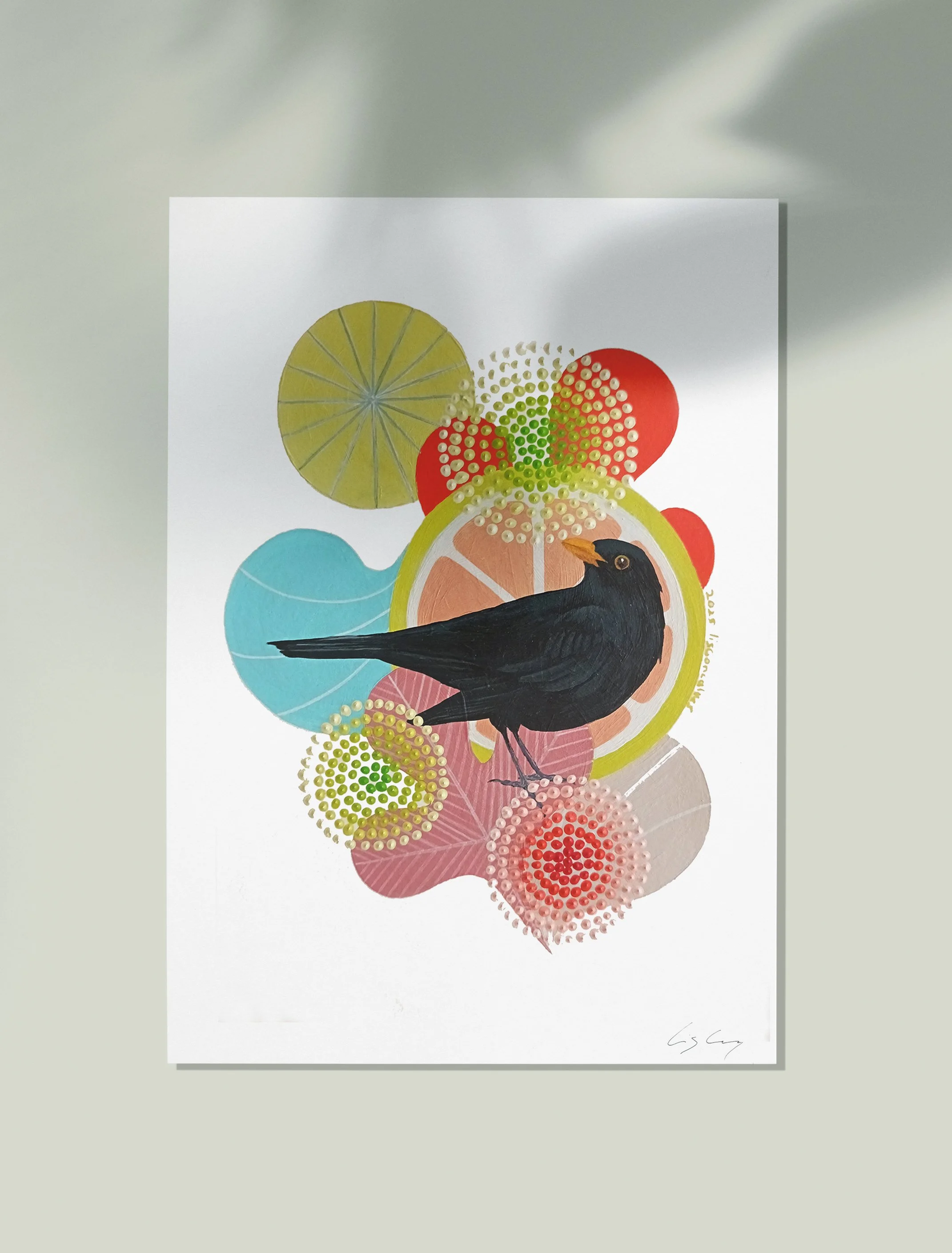 Melro - Black Bird