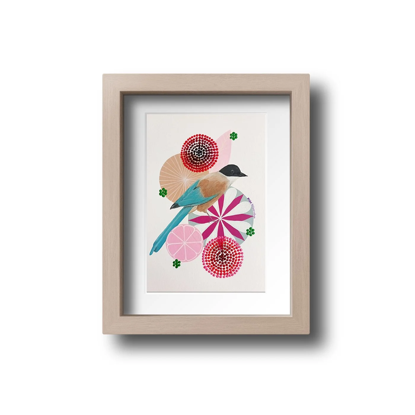 Bird- Pega azul - iberian azure-winged magpie