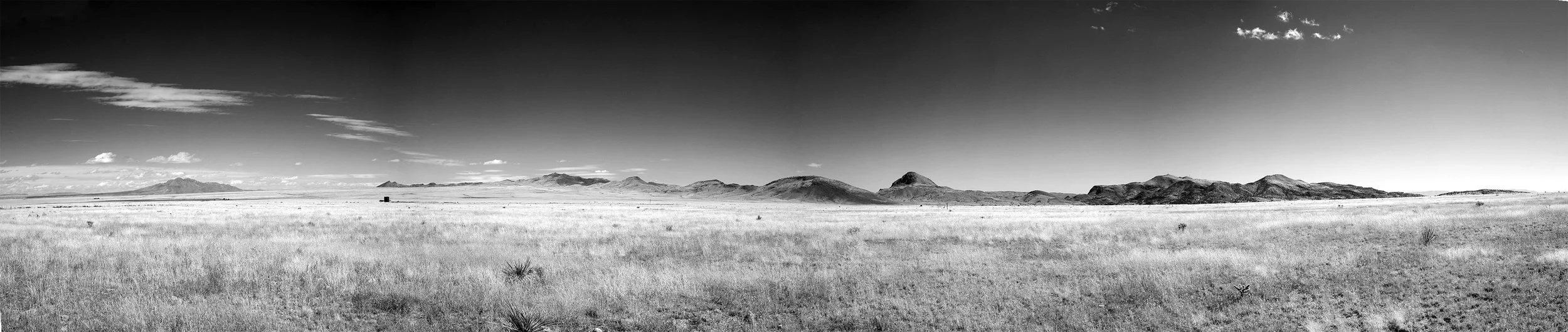 Plains of San Agustin NM, Fall 2021
