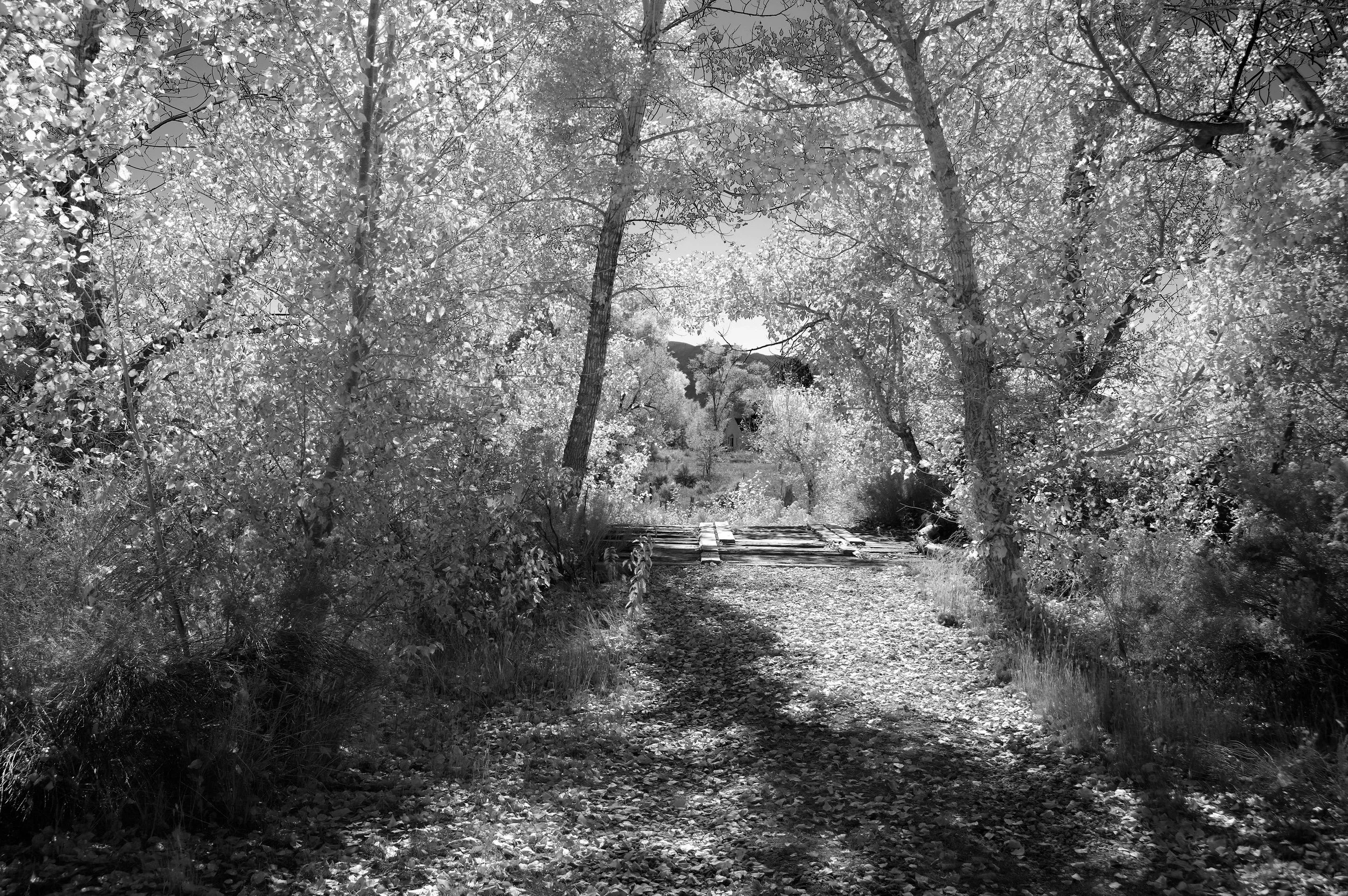 Acequia Crossing, Taos, Fall 2021