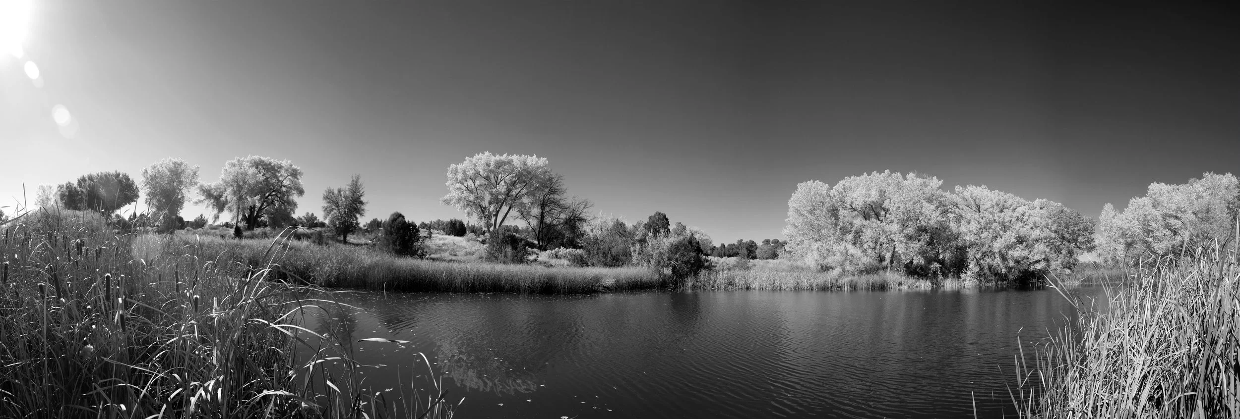 Leonora Curtin Wetland Preserve, Fall 2021
