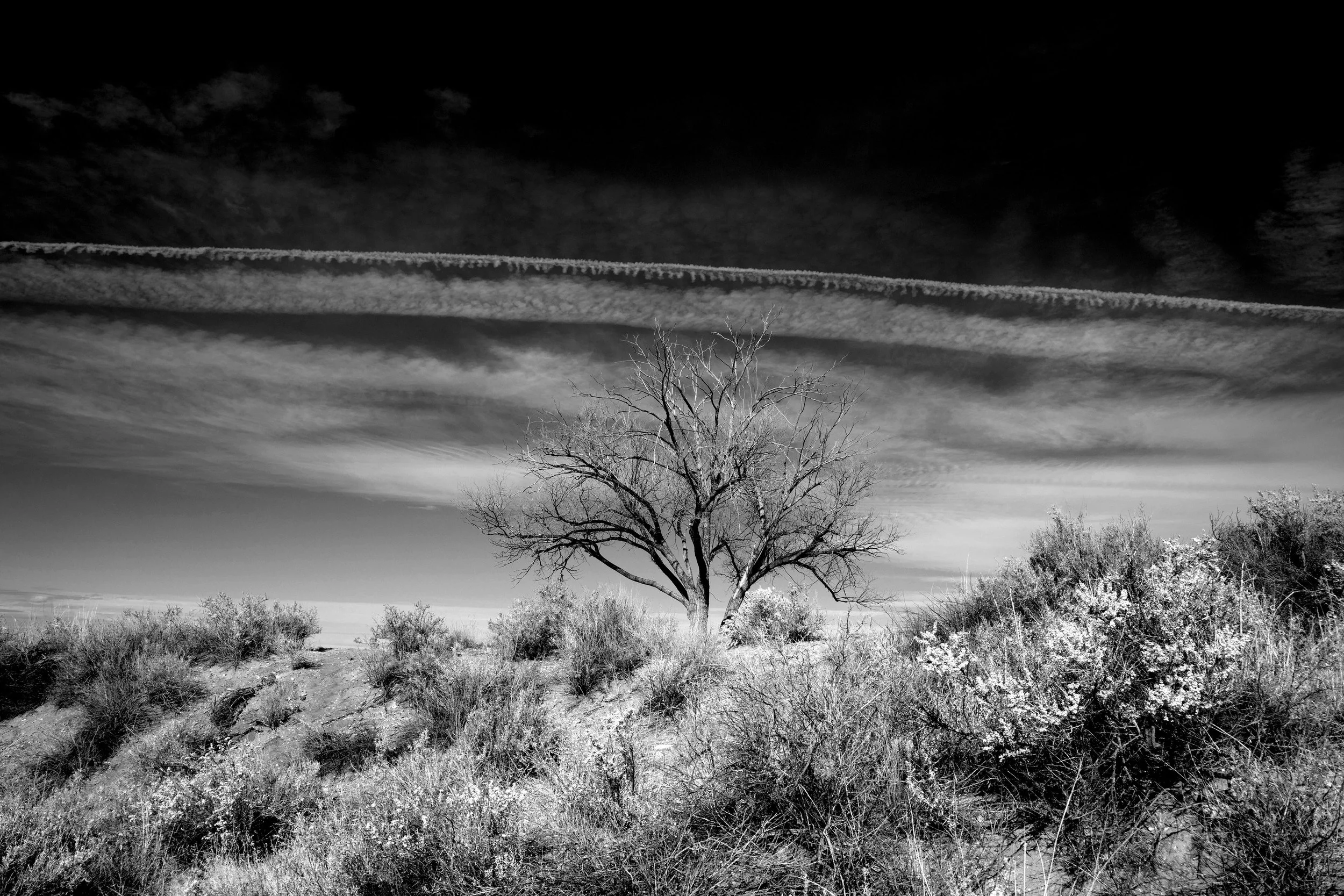 Hilltop, Santa Fe, Winter 2021