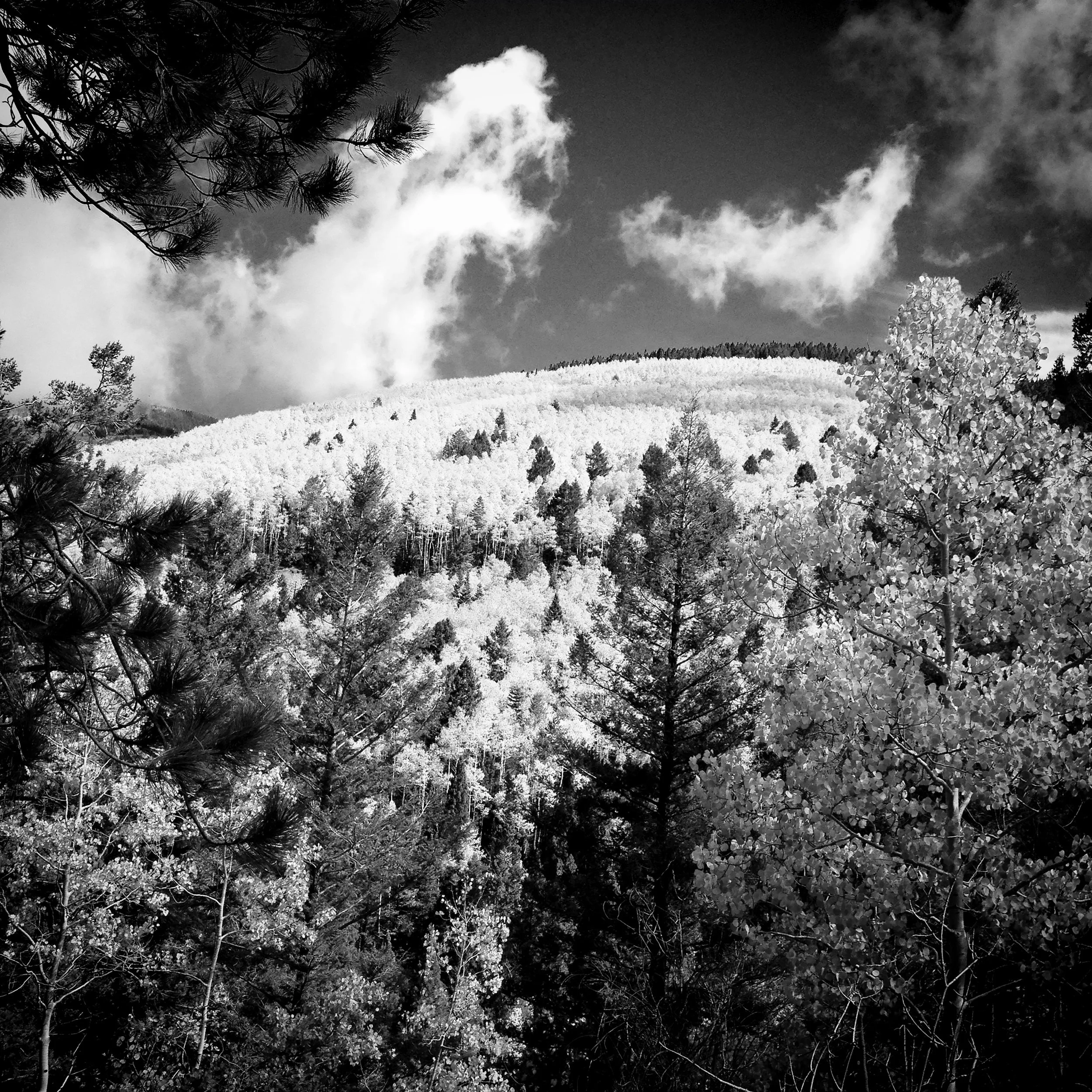 Tesuque Peak, Santa Fe, Fall 2021