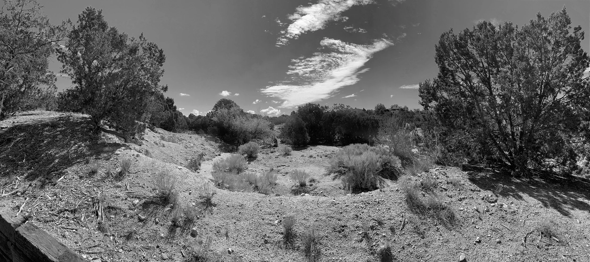 Desert Wash, South Santa Fe, Summer 2021