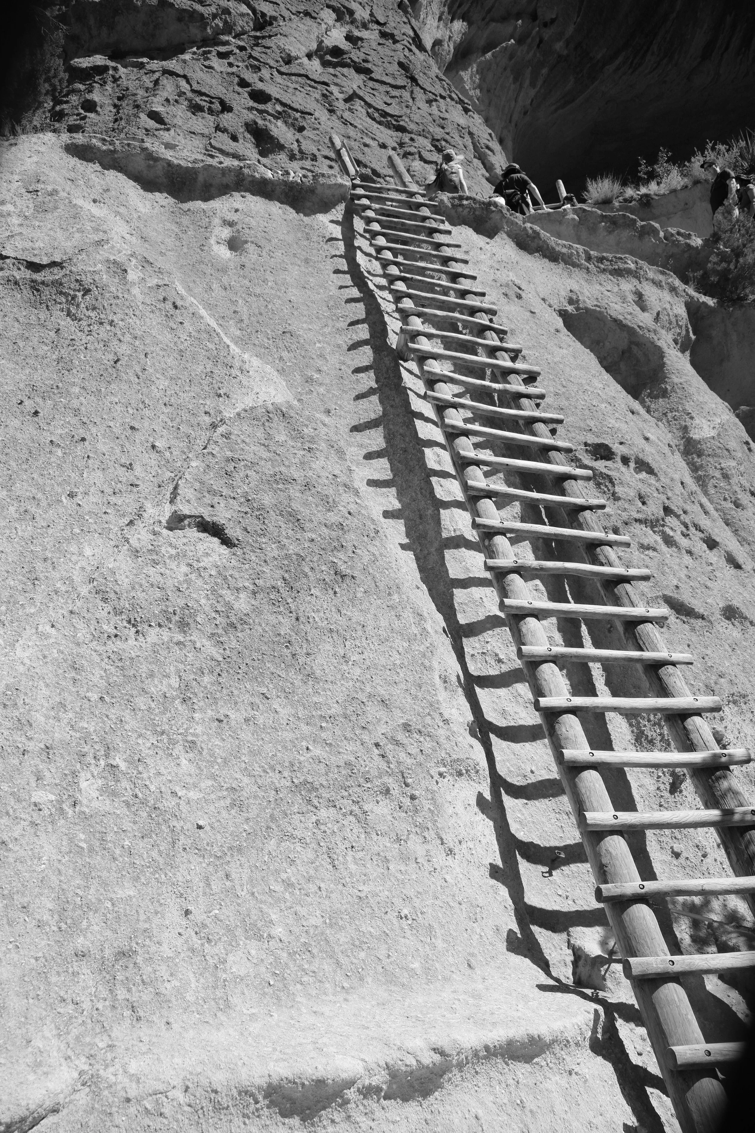 Ladder to Alcove House, Bandelier, Summer 2021