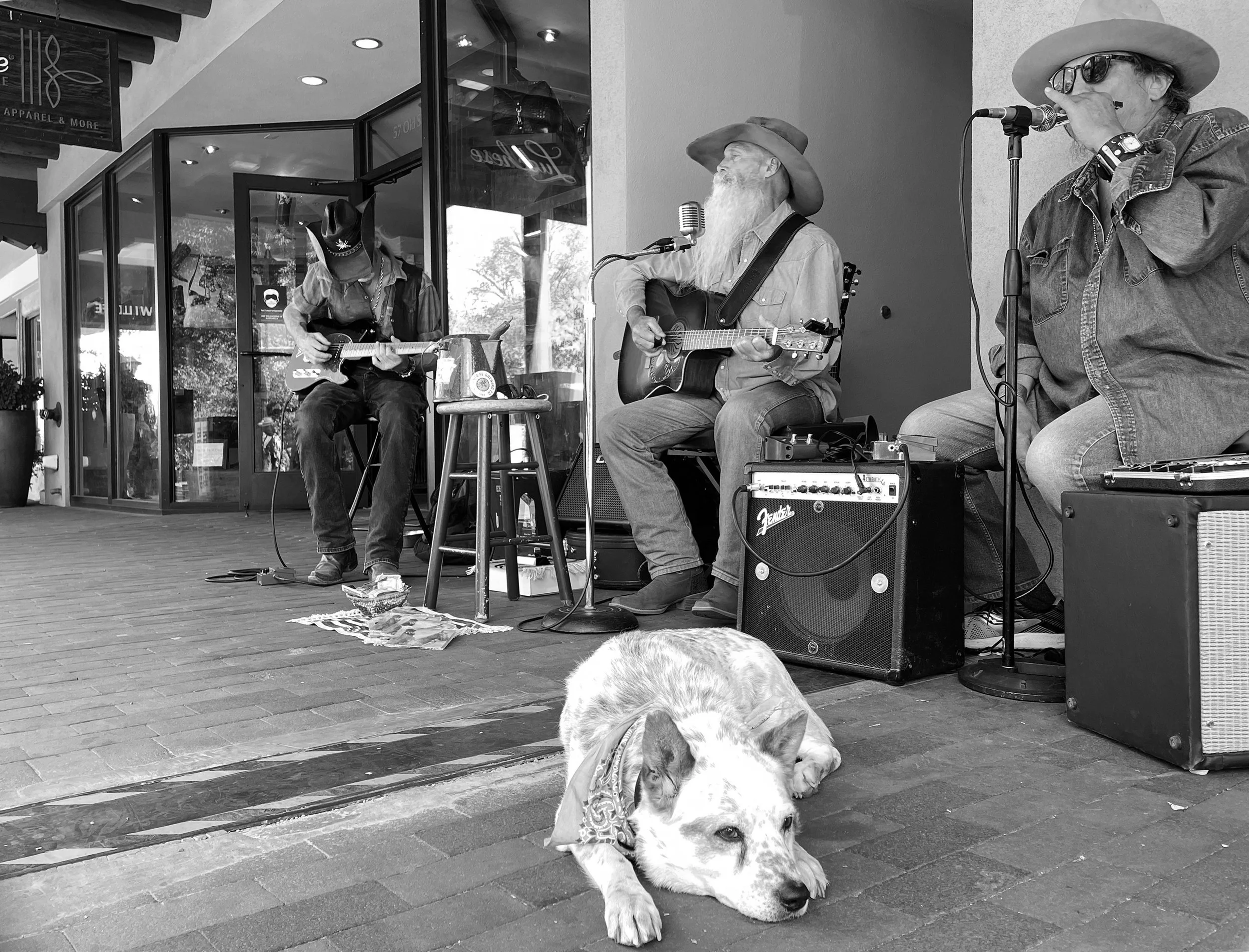 Santa Fe Plaza Musicians, Fall 2021 