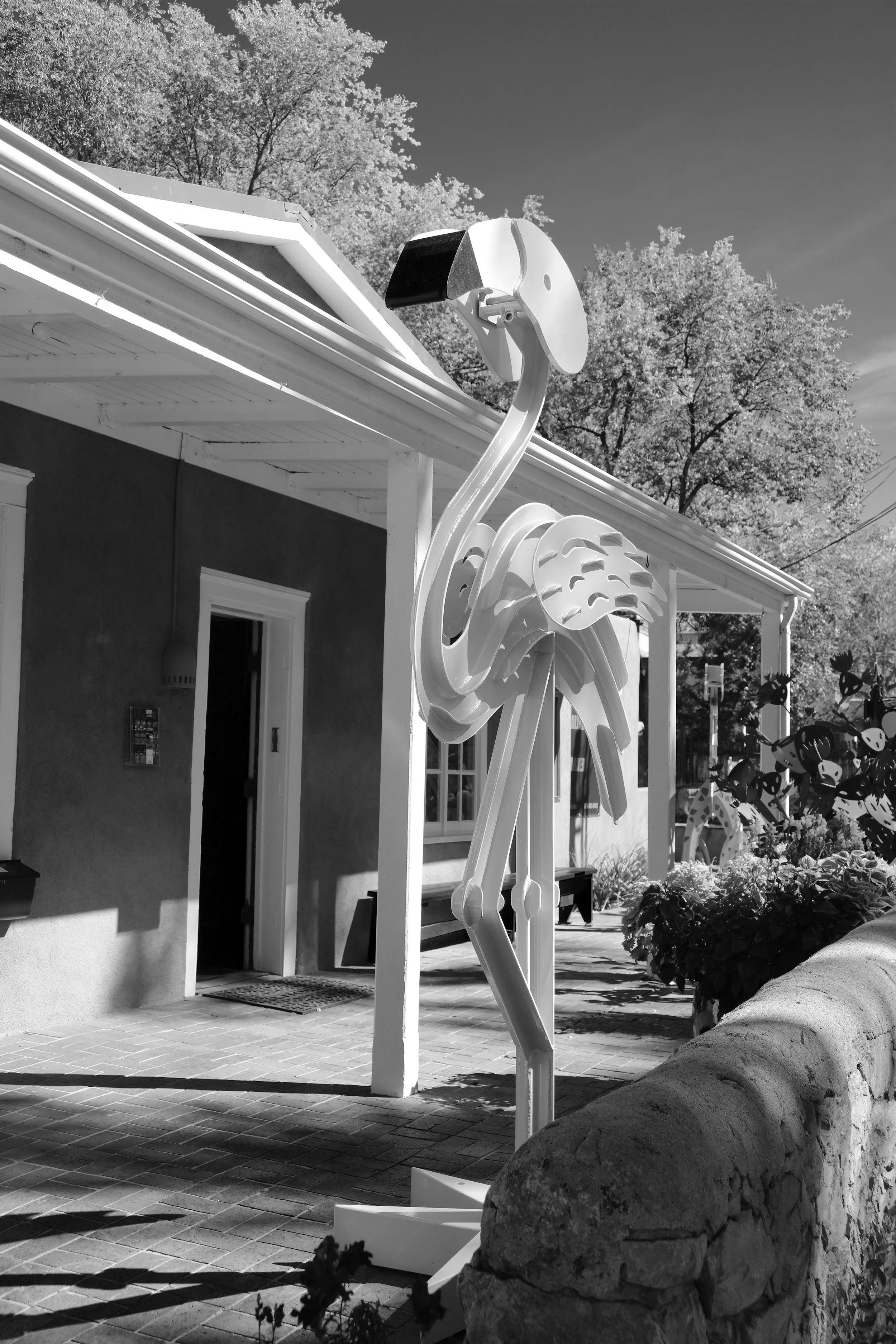 Prescott Studio Gallery, Fall 2021
