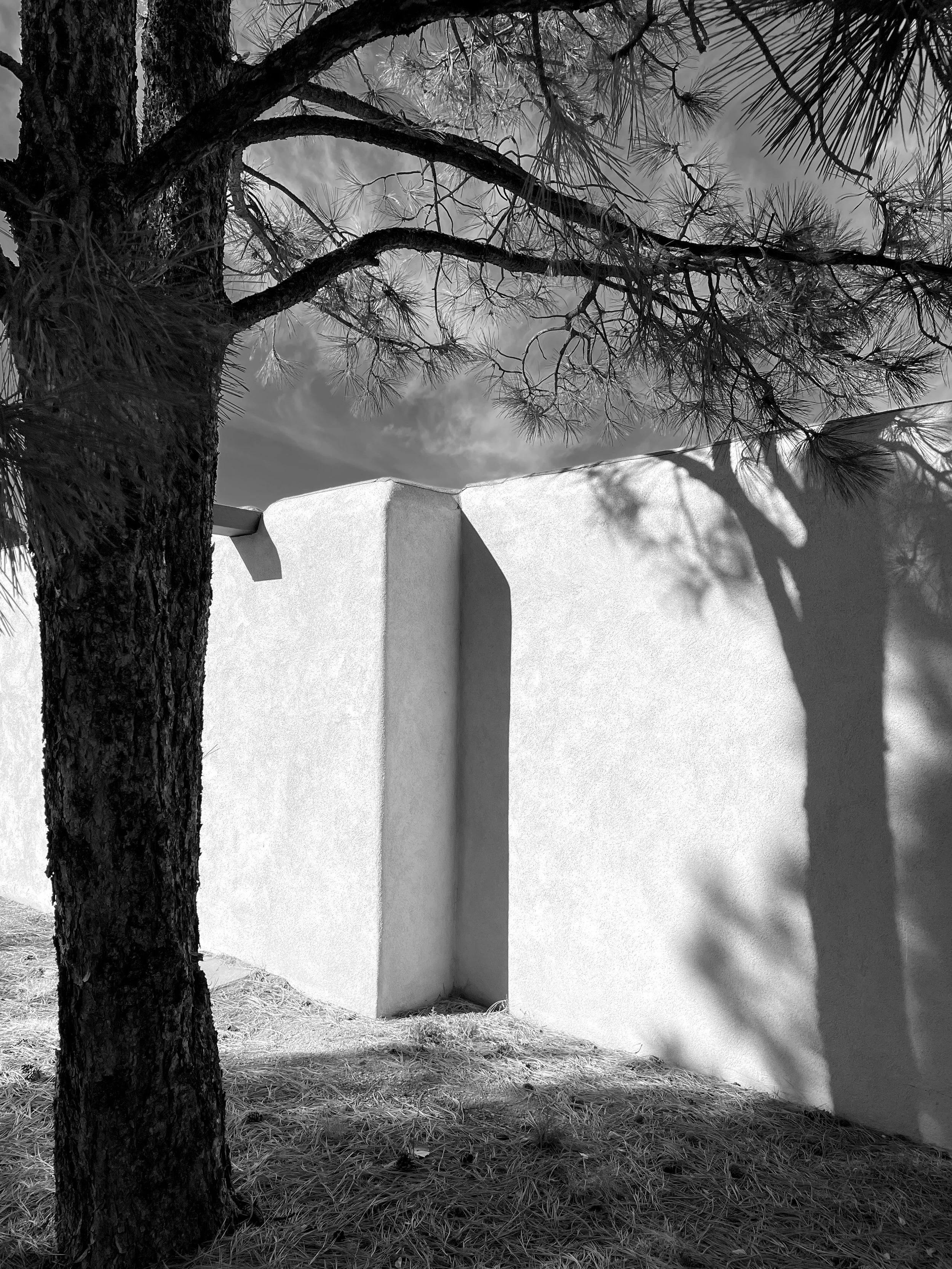 Winter Sun Santa Fe, 2022 