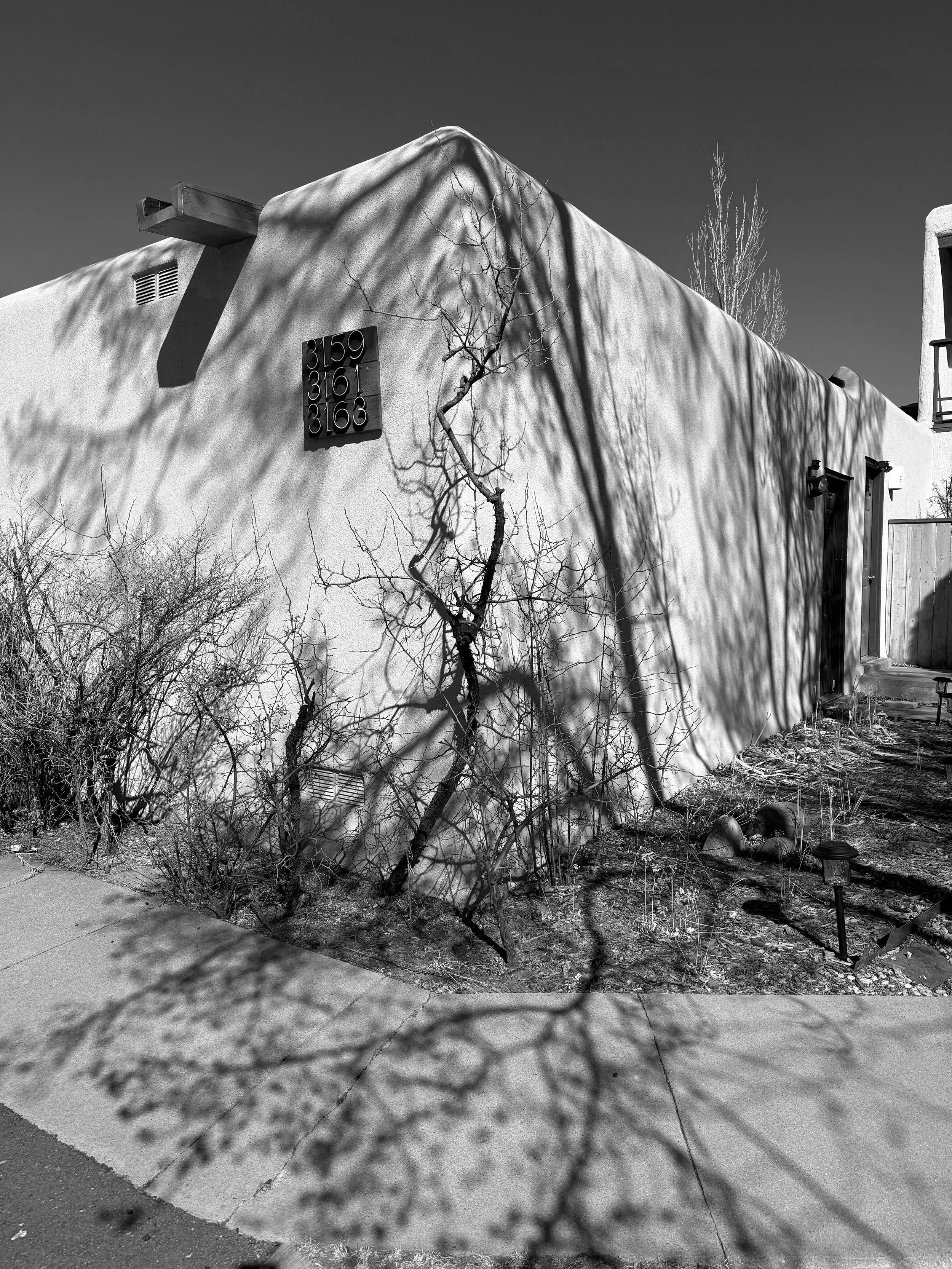 Shadows Santa Fe February 2024 