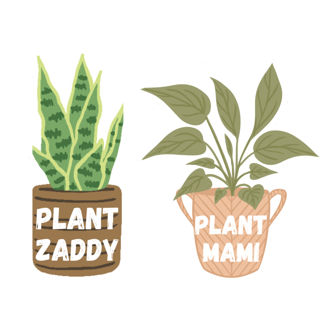 Illustration of two houseplants in pots, one labeled 'Plant Zaddy' and the other labeled 'Plant Mami'