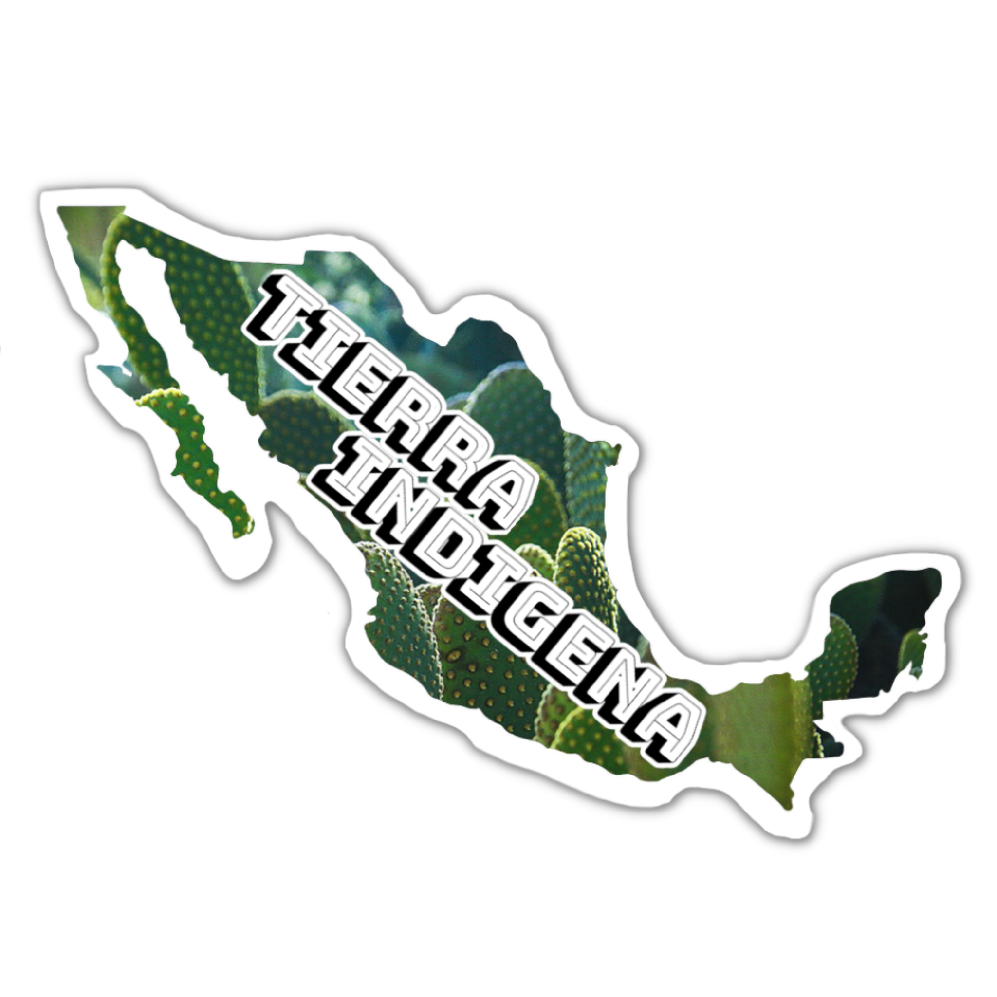 Map of Mexico with cactus plant texture and the words 'TERRICA INDIENCE' overlayed.