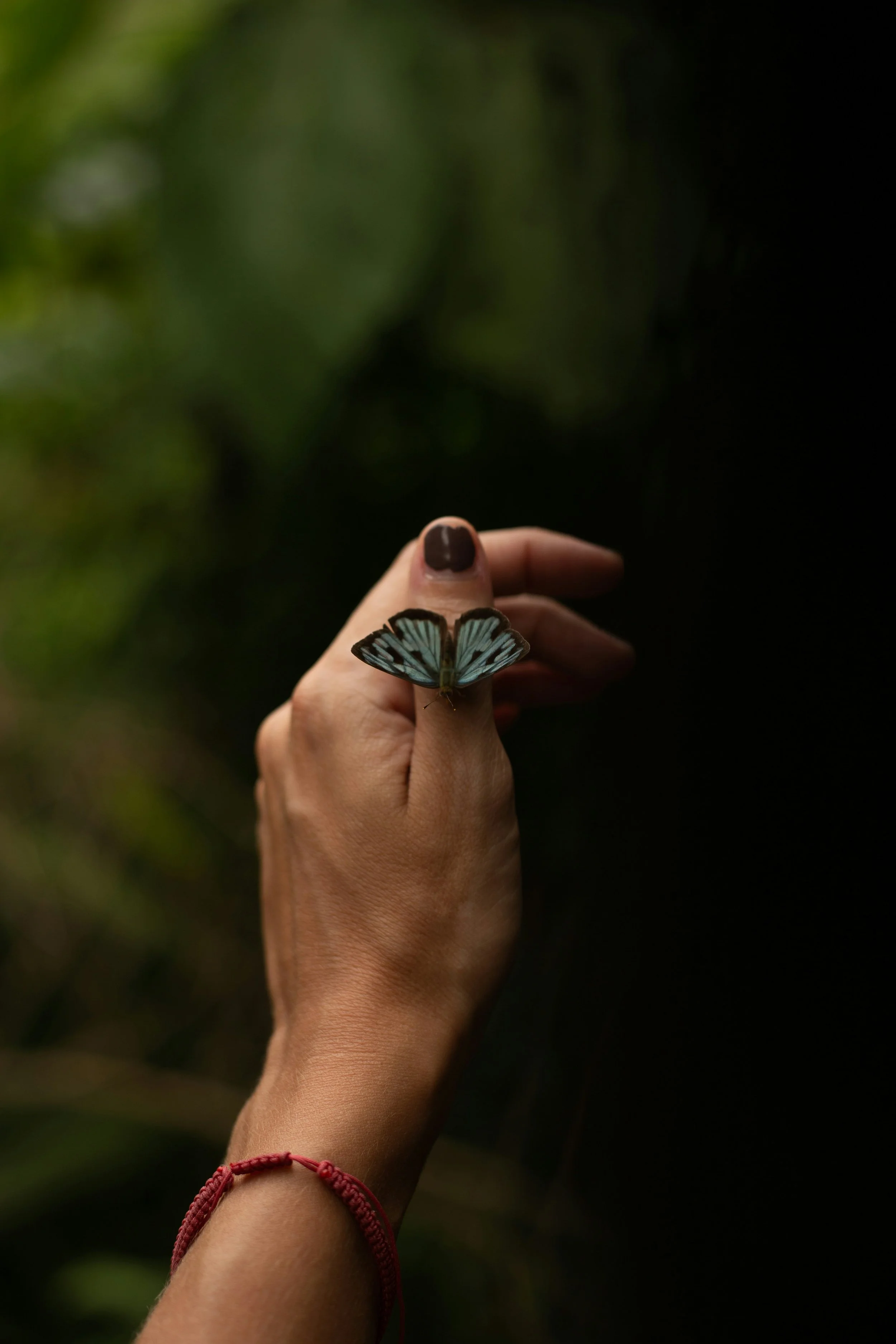 The Butterfly Hug: A Simple Way to Support the Nervous System When Academic Stress Is High