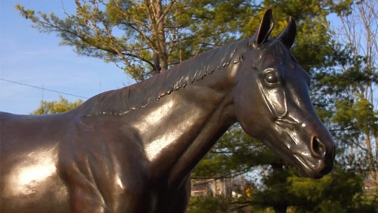 Michael-Breeding-Thoroughbred-Park050277-768x432.jpg