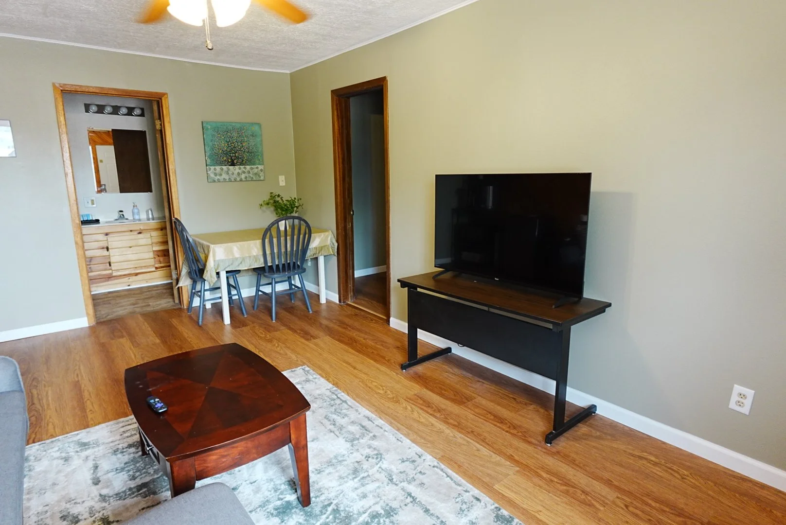 Television in living room area