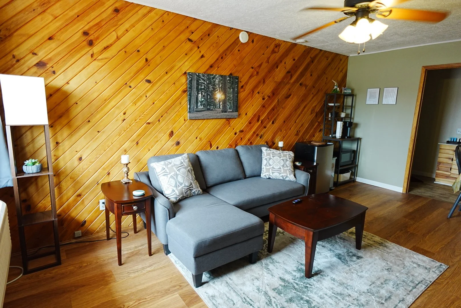 Comfortable living room space with pull out couch