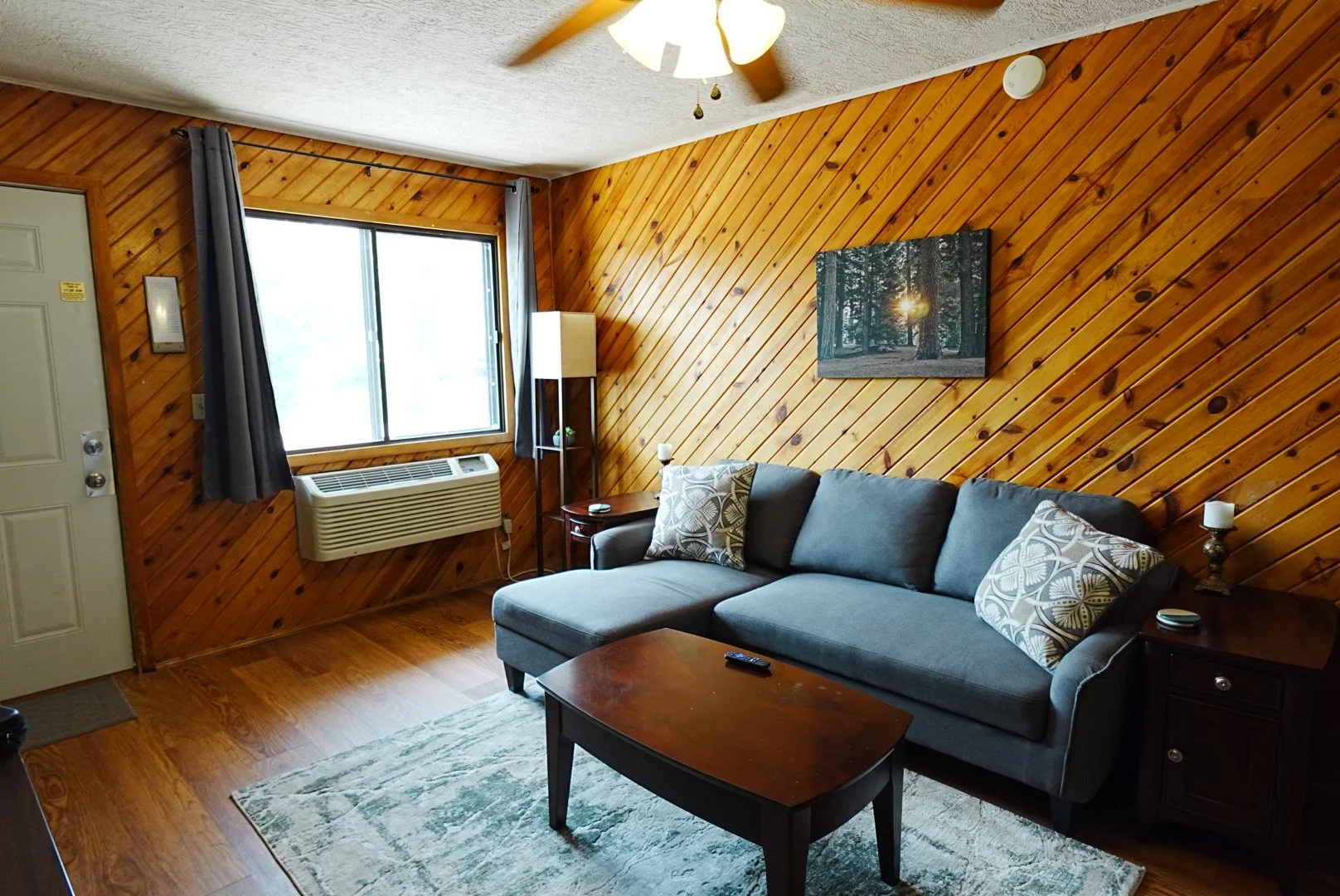 Comfortable living room space with pull out couch