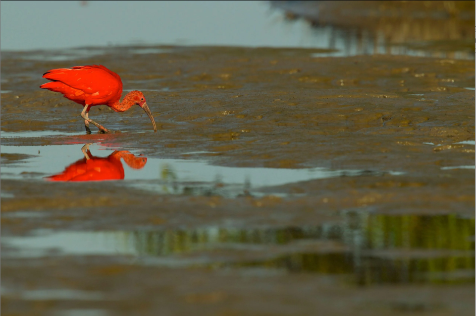 Recursos naturales en disputa: Soberanía, Derechos Humanos y Derecho Internacional.