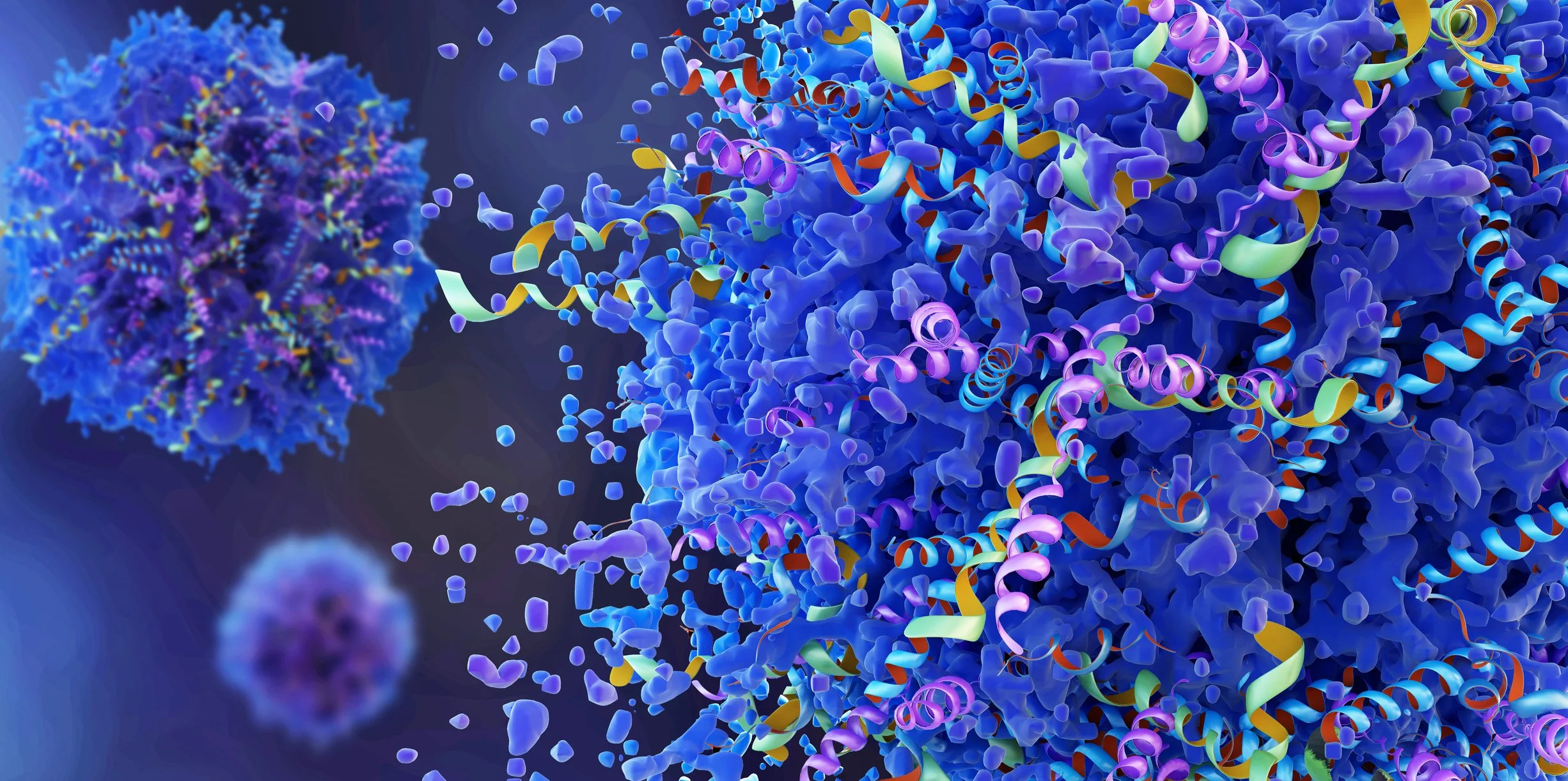 Scientific visual representing CIZ1B as a protein biomarker produced by lung cancer cells.