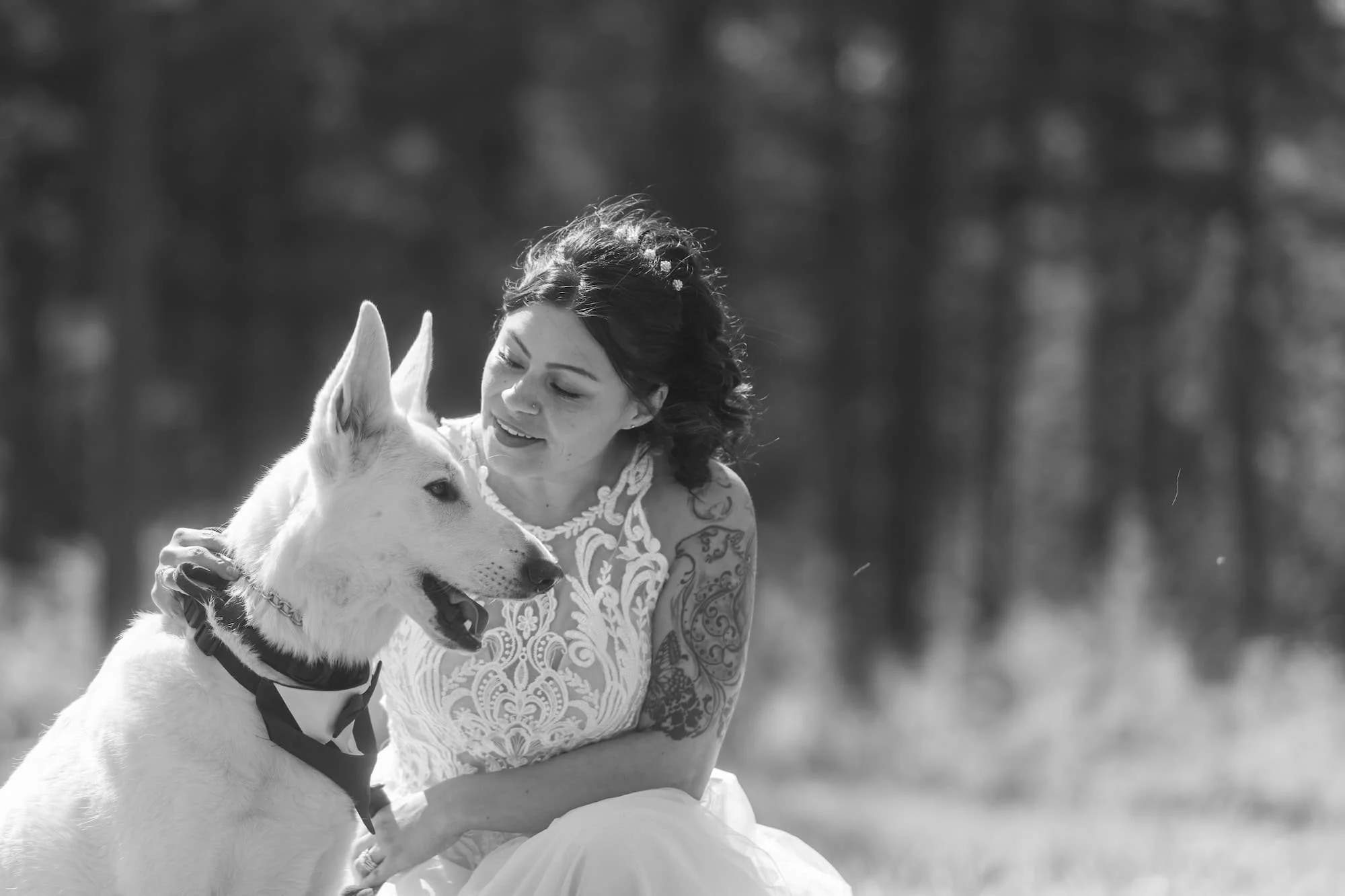 Top Rated Wedding Venue Idaho