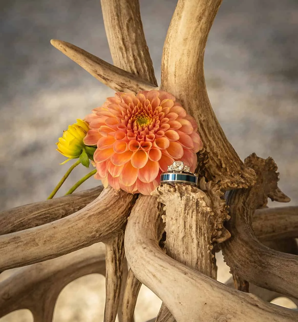 Best affordable wedding venues in idaho