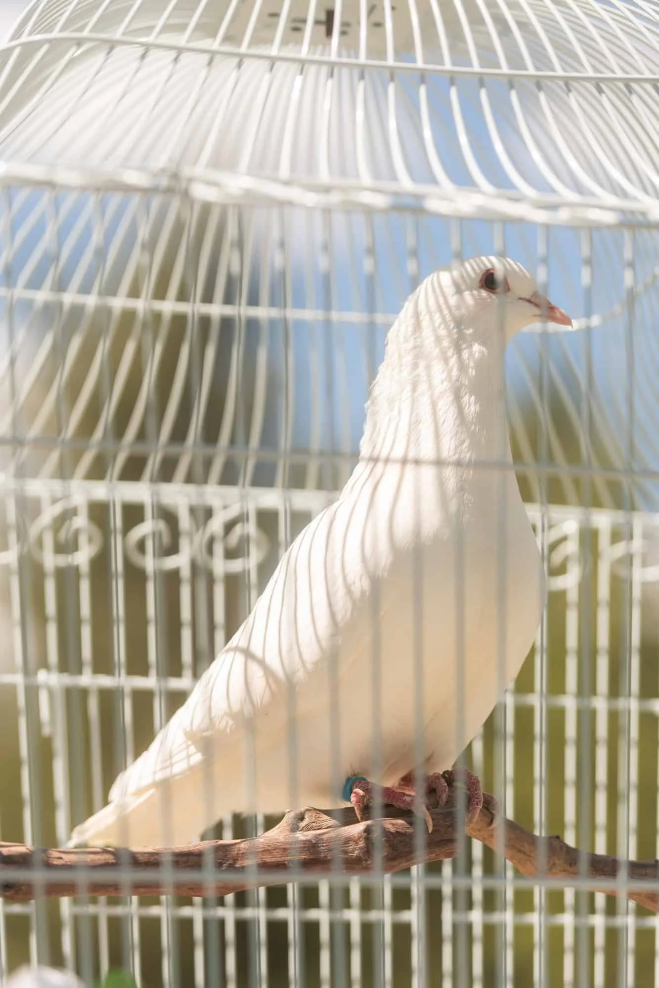 Top Rated Wedding Venue Idaho