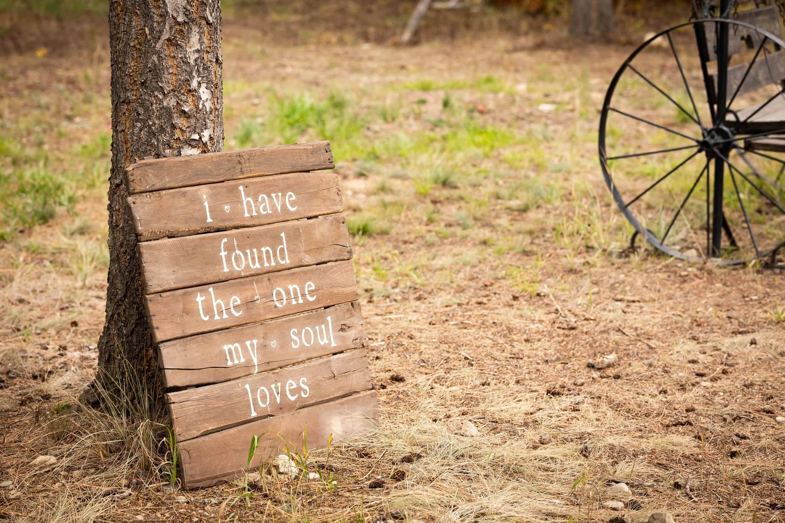 Best affordable wedding venues in idaho