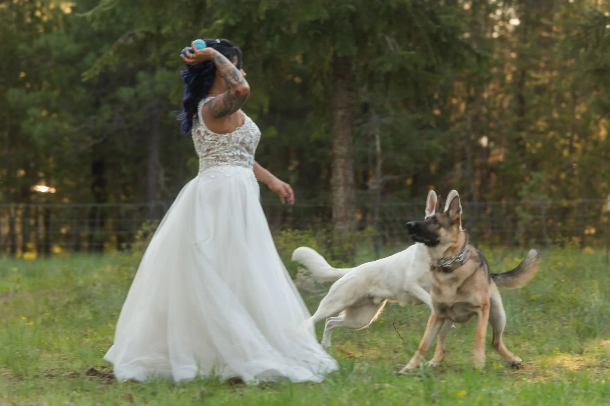 Top Rated Wedding Venue Idaho