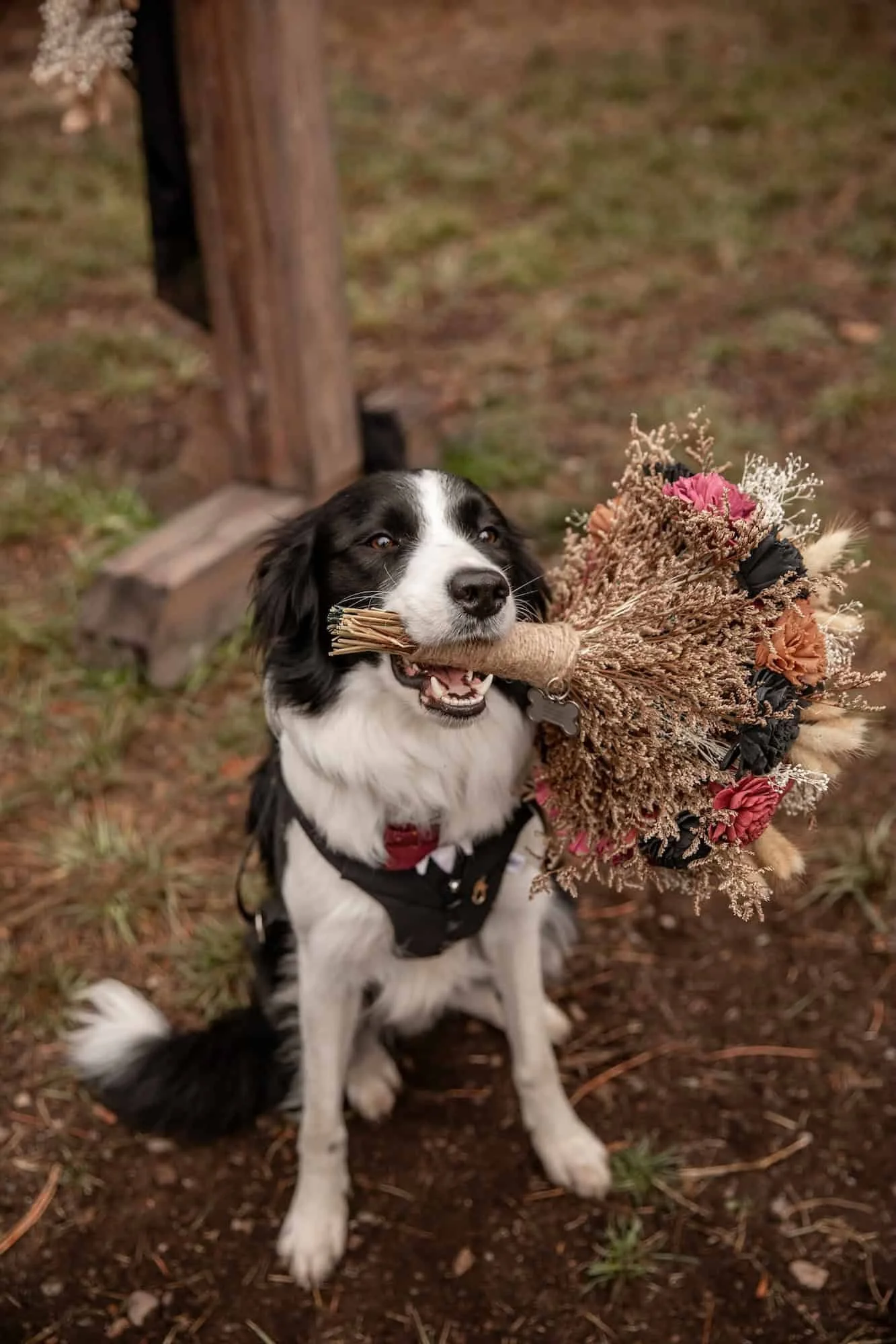 Best idaho wedding venues with lodging