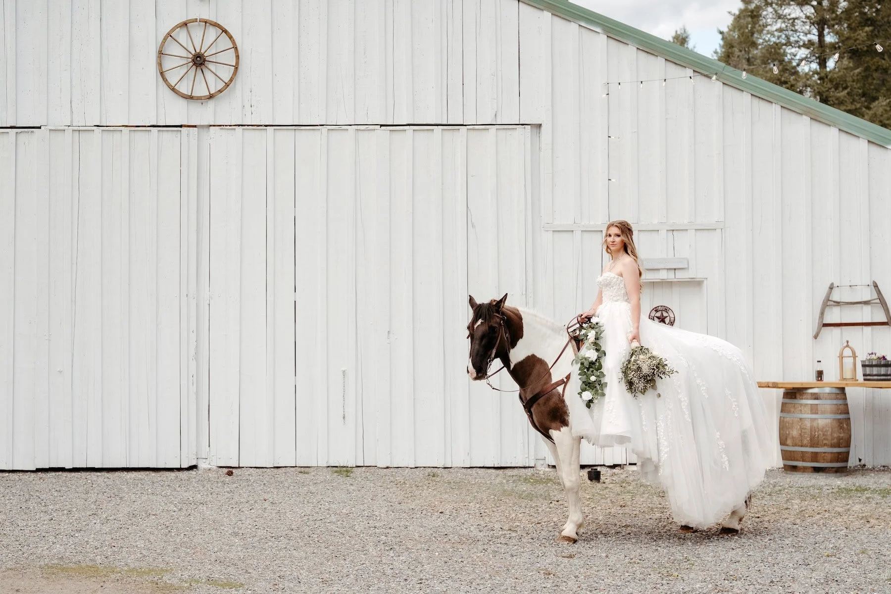 Horse Wedding Photos: Inspiration from Past Weddings
