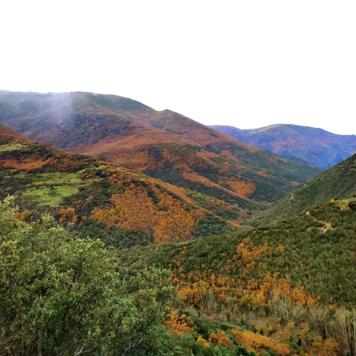 Central Hidroeléctrica reversible “Odollo”na Cabreira
