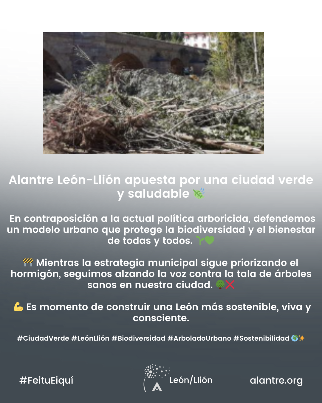 Alantre León-Llión apuesta por un modelo de ciudad verde y saludable en oposición a la política arboricida actual