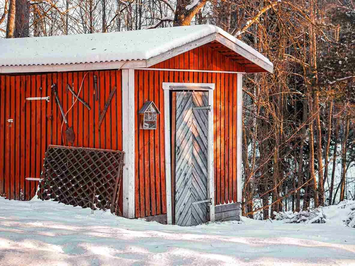 Maintain Your Shed Year‑Round