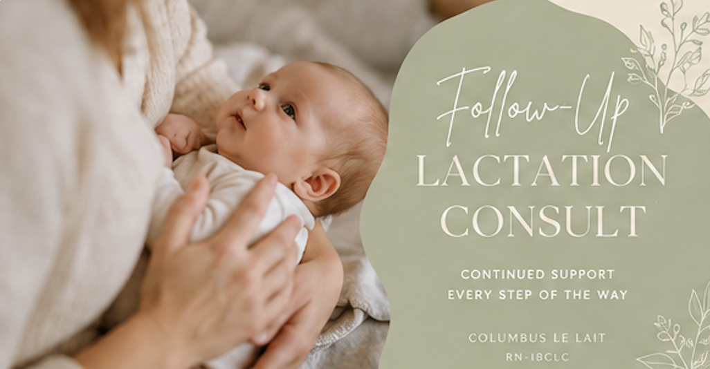 Follow up Lactation Consult