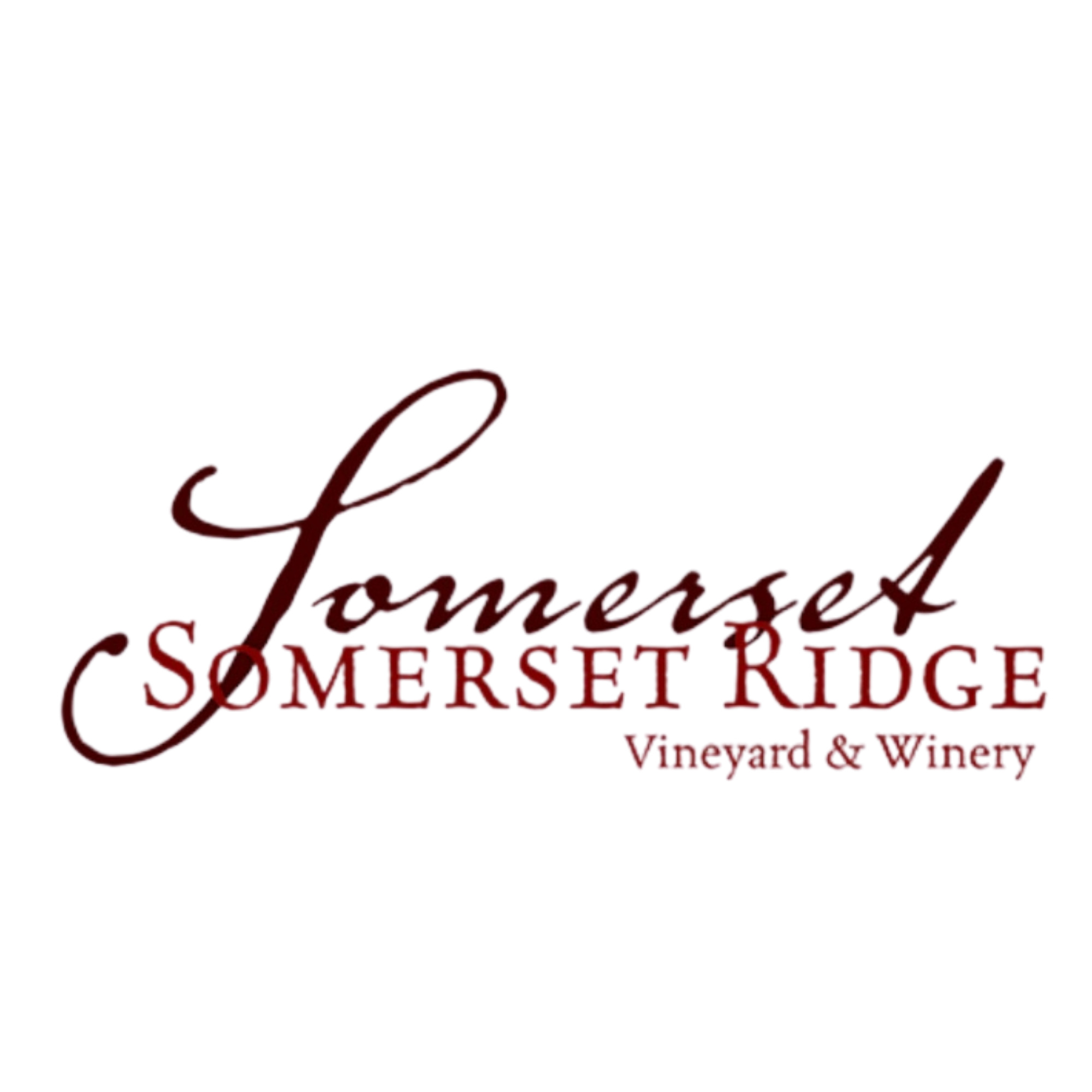 Stingers Week Partner