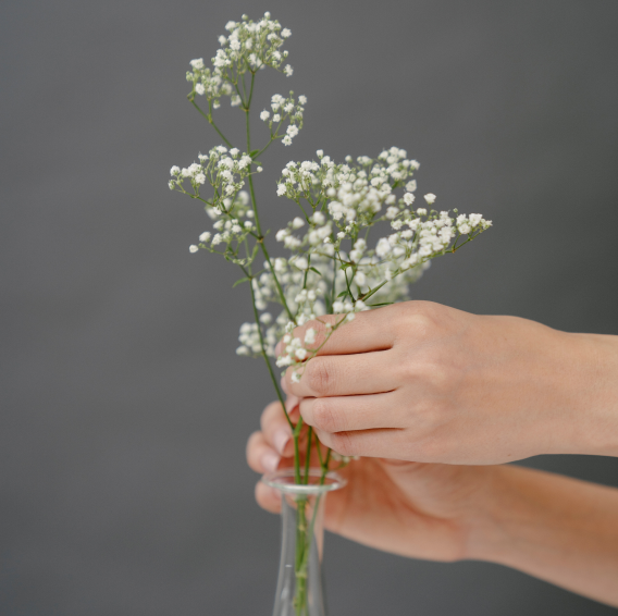 The Benefits of Sustainable Living in Real Estate