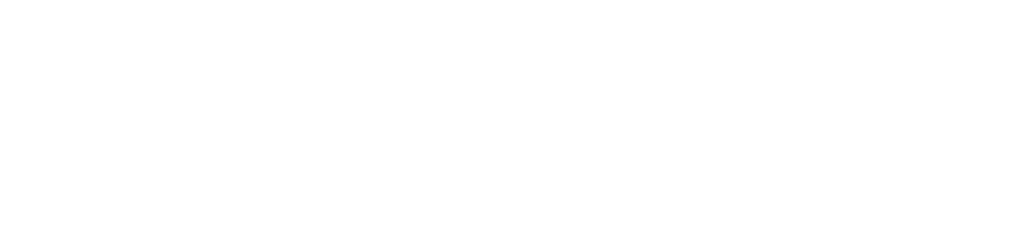 Bellezzo MD Med-Legal Consulting