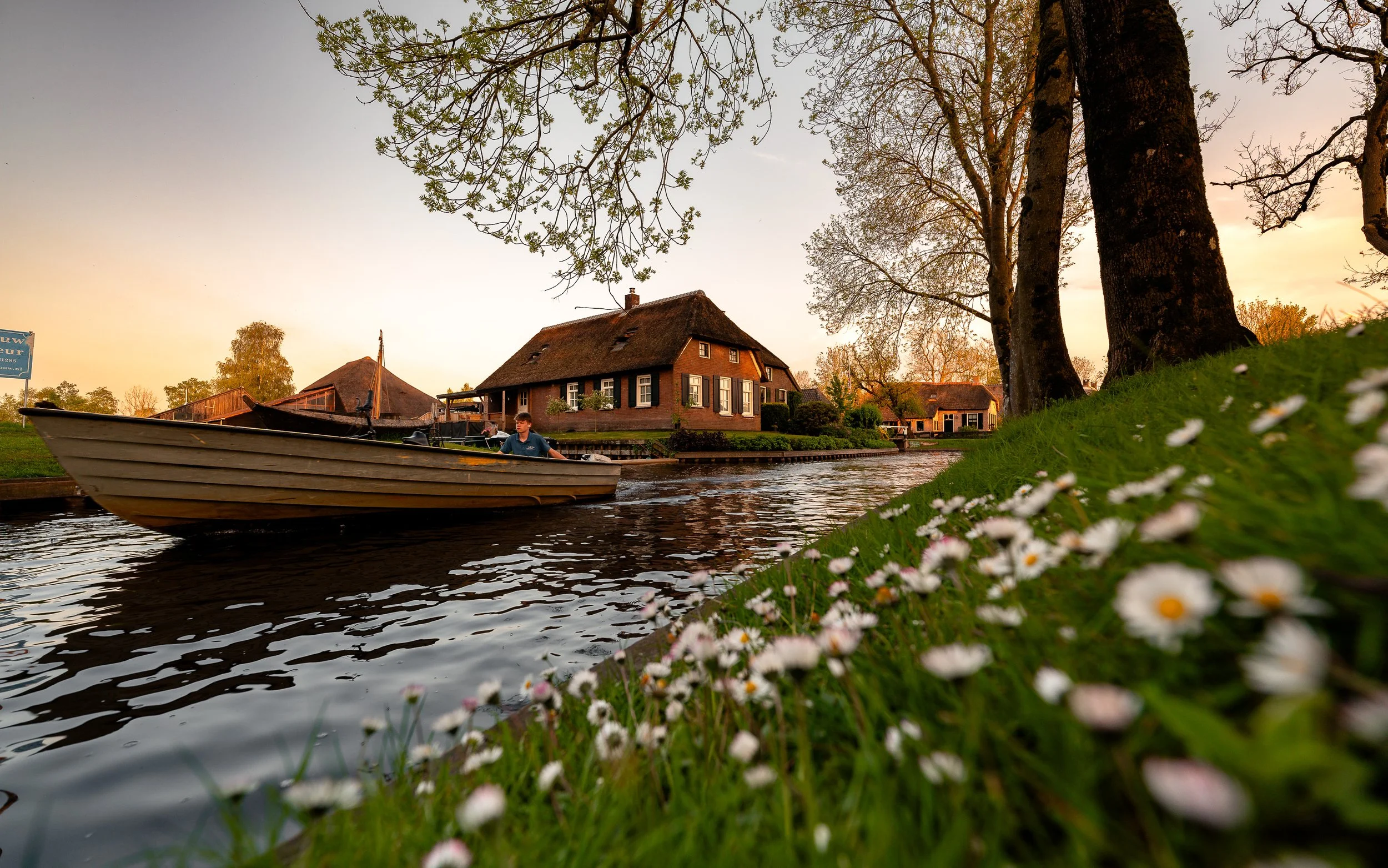 A boat with a person on board sailing on a canal near traditional houses at sunset, with flowers on the grassy bank in the foreground and trees lining the water.