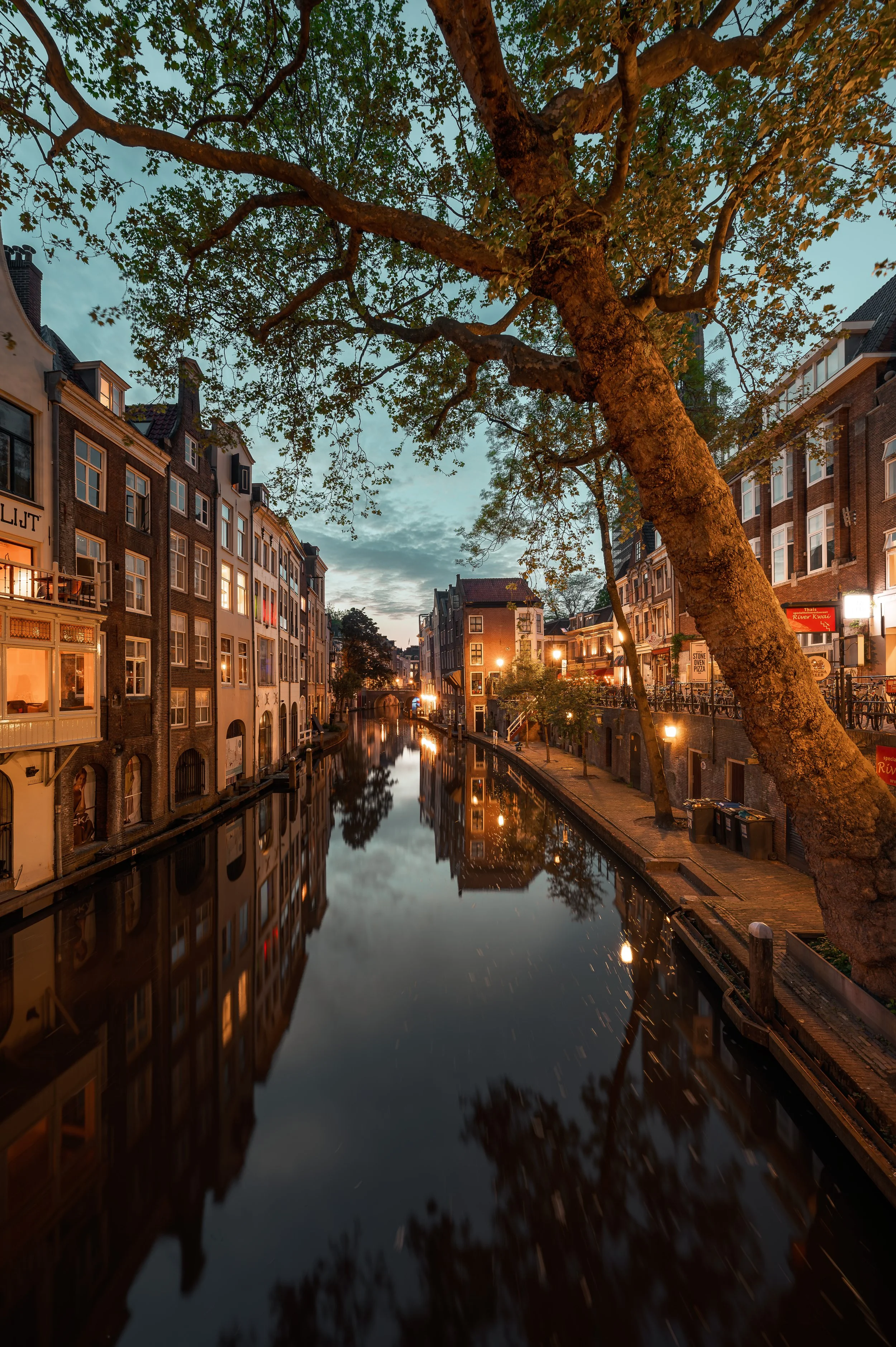 A canal in an old European city at dusk with buildings on each side, a large tree leaning over the water, and streetlights reflected in the calm water.
