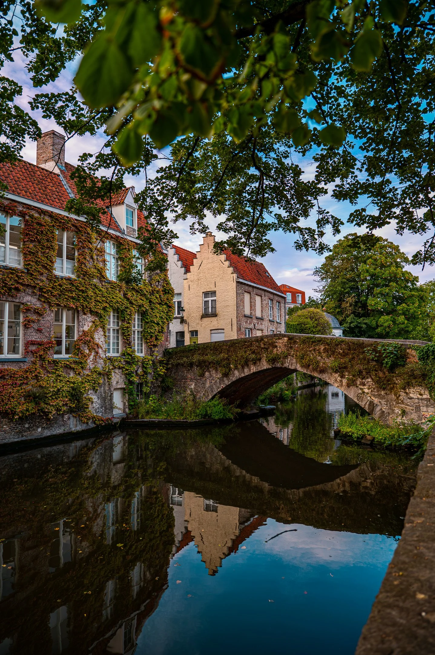 A scenic view of old European buildings with a stone bridge over a canal, surrounded by trees with green leaves, and their reflections in the water.